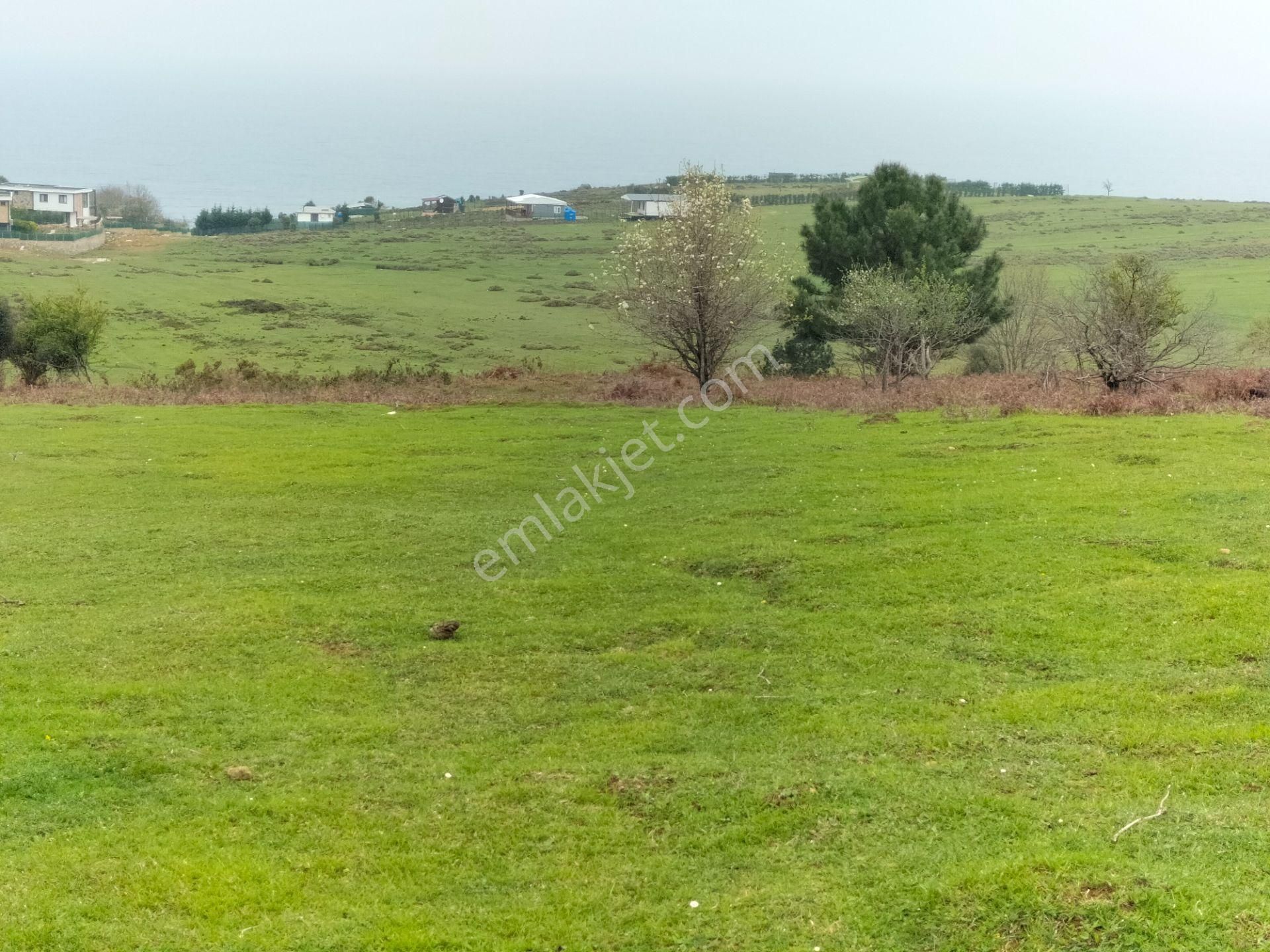Şile Karacaköy De Harika Konumda 737m2 Villa İmarlı Satılık Arsa - Görsel 12