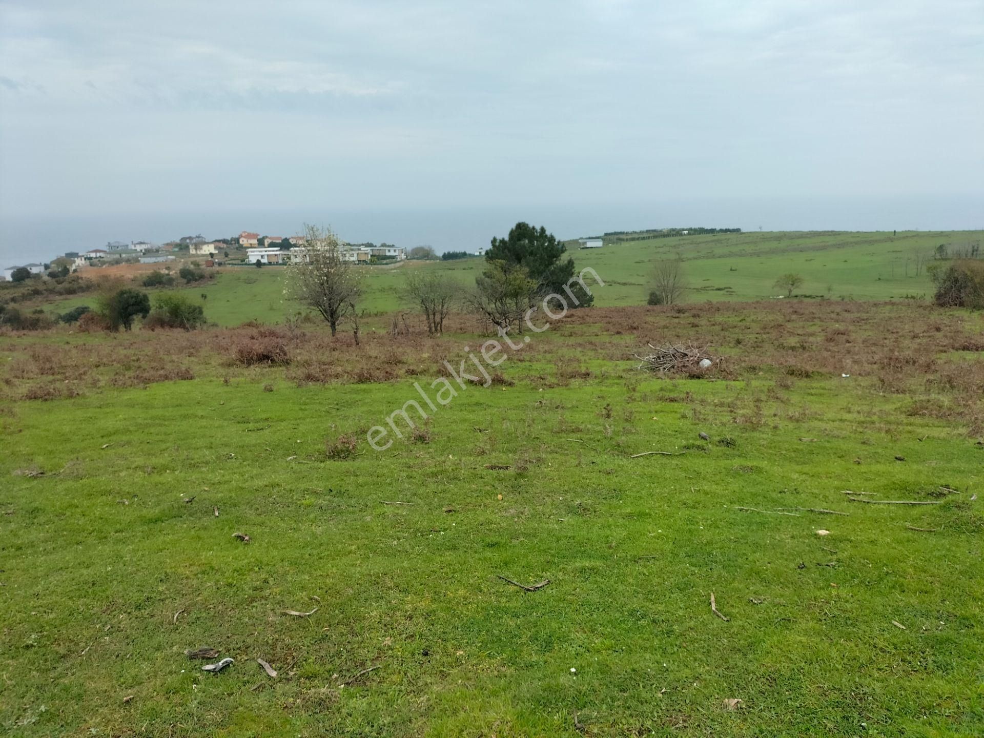 Şile Karacaköy De Harika Konumda 737m2 Villa İmarlı Satılık Arsa - Görsel 6