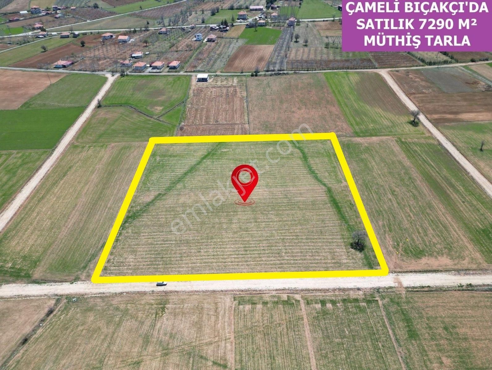 🦋lobby Fortis'ten Satılık Çameli Bıçakçı'da 7290 M² Harika Tarla🦋