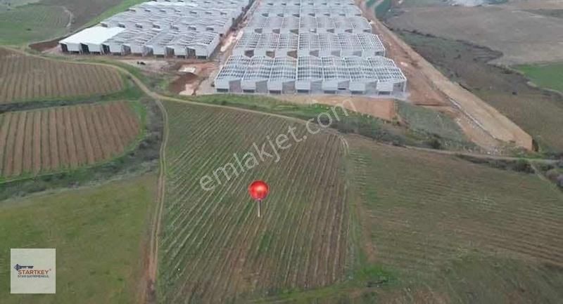 Startkey Star'dan Yüz Binlik Sanayi Planında Yatırımlık Arazi - Görsel 6