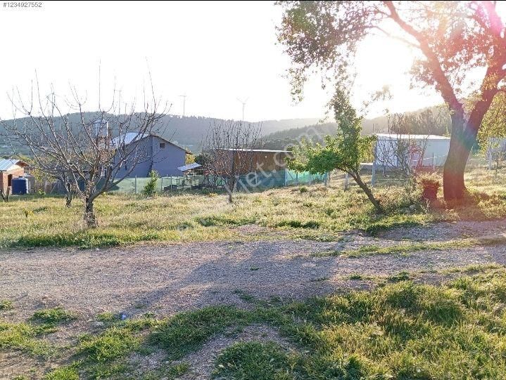 Kemalpaşa Ulucak Resmi Tapulu Bahçe - Görsel 5