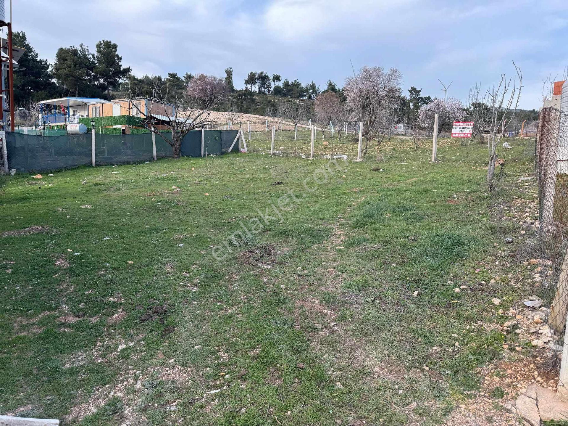 Kemalpaşa Ulucak Resmi Tapulu Bahçe - Görsel 4