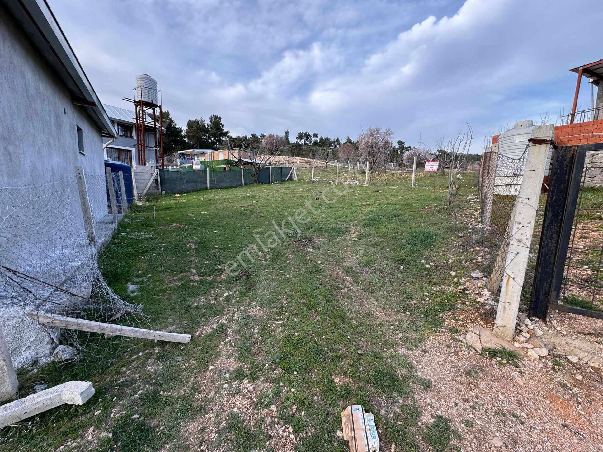 Kemalpaşa Ulucak Resmi Tapulu Bahçe - Görsel 3