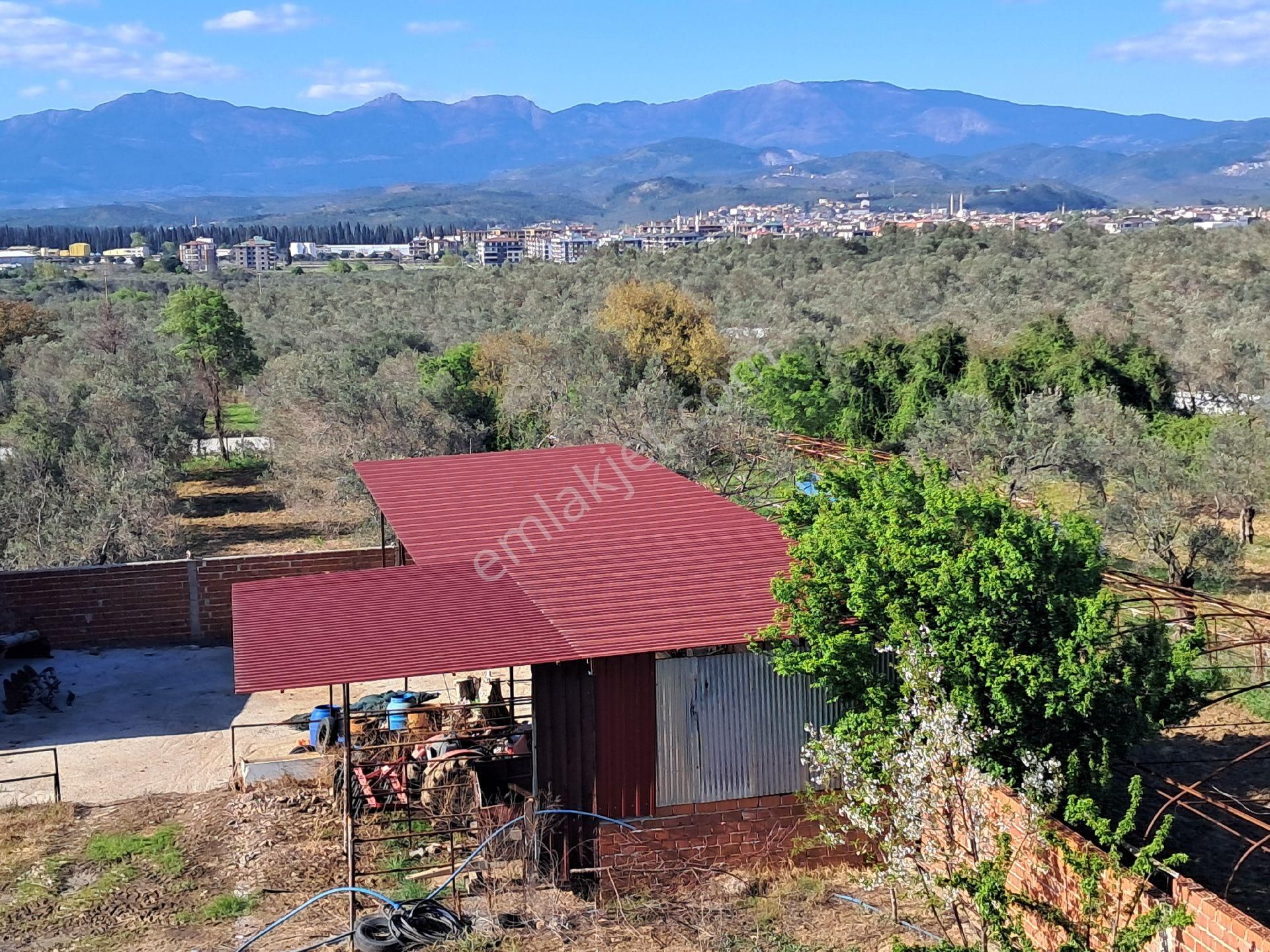 Eryılmaz Gayrimenkul'den Havran Küçükdere Köyünde 2090m2 2 Katlı Ev Ve Kurulu Satılık Çiftlik - Görsel 5