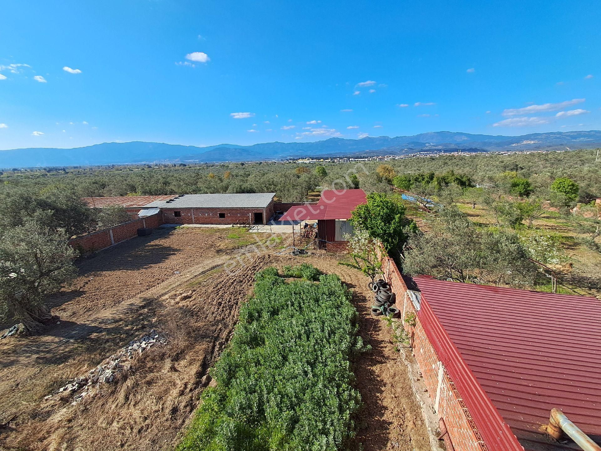 Eryılmaz Gayrimenkul'den Havran Küçükdere Köyünde 2090m2 2 Katlı Ev Ve Kurulu Satılık Çiftlik - Görsel 32