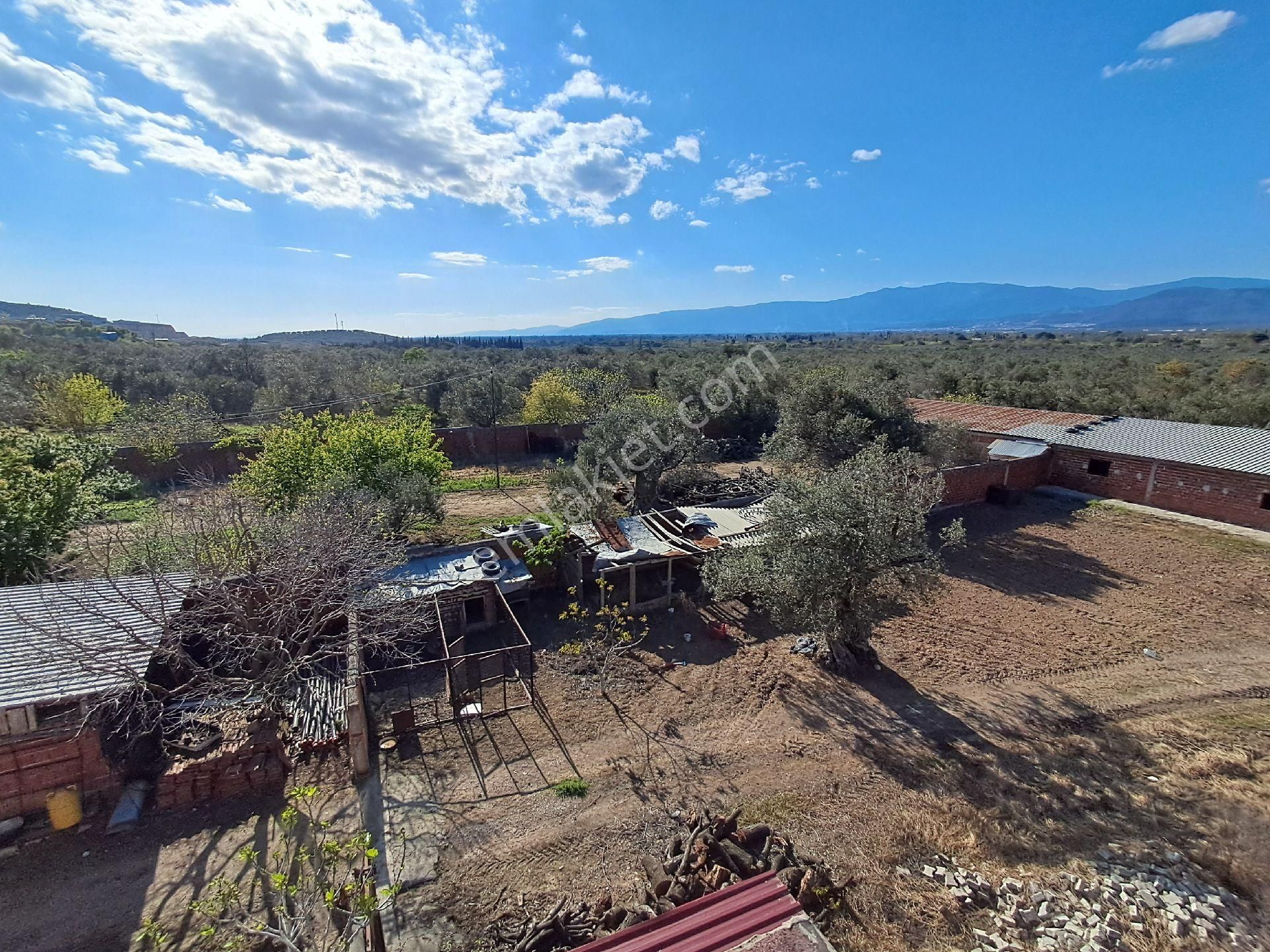 Eryılmaz Gayrimenkul'den Havran Küçükdere Köyünde 2090m2 2 Katlı Ev Ve Kurulu Satılık Çiftlik - Görsel 31