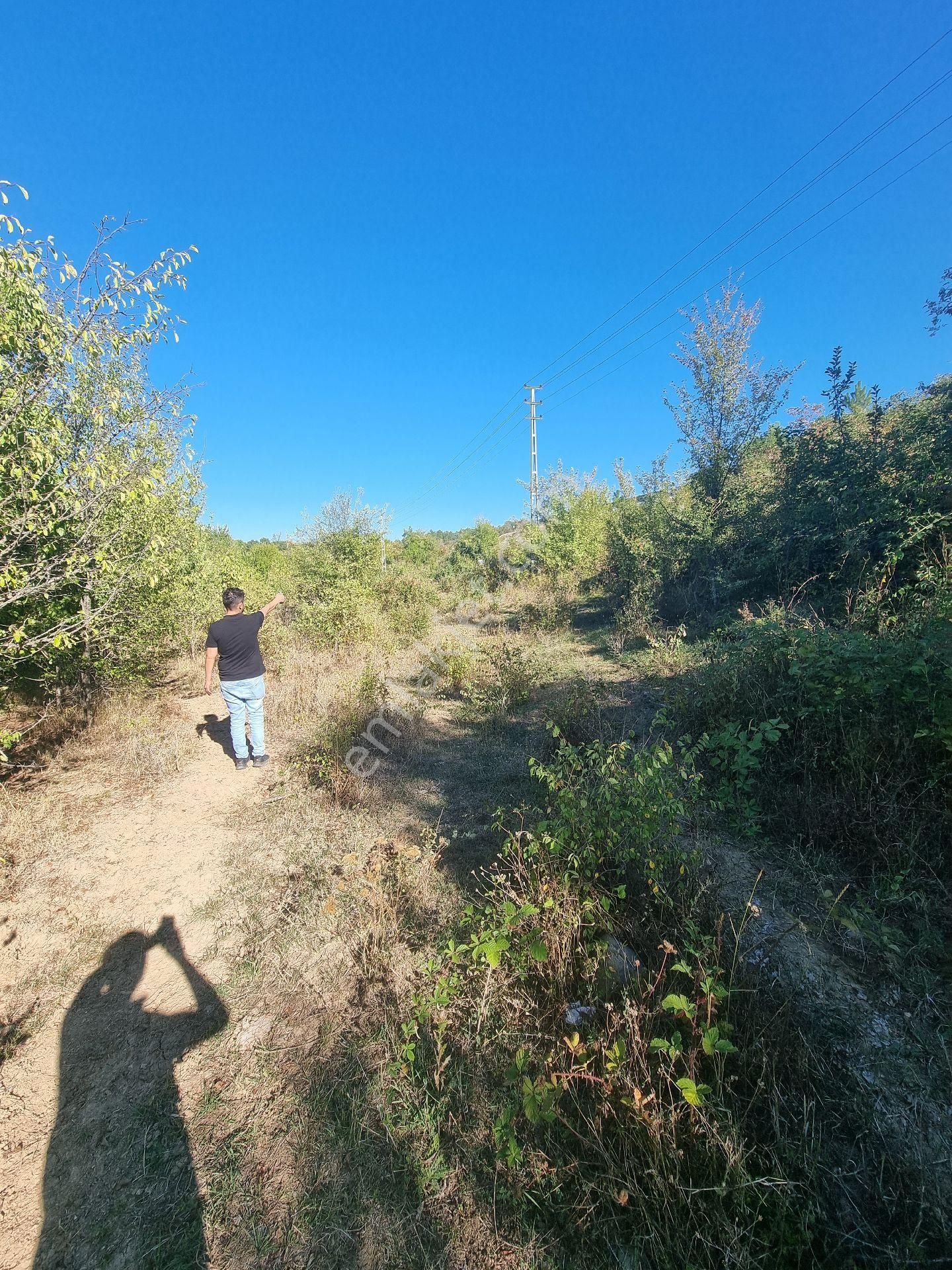 Kastamonu Araç Çıkışında Yol Kenarı 3 Dönüm Bahçe - Görsel 11