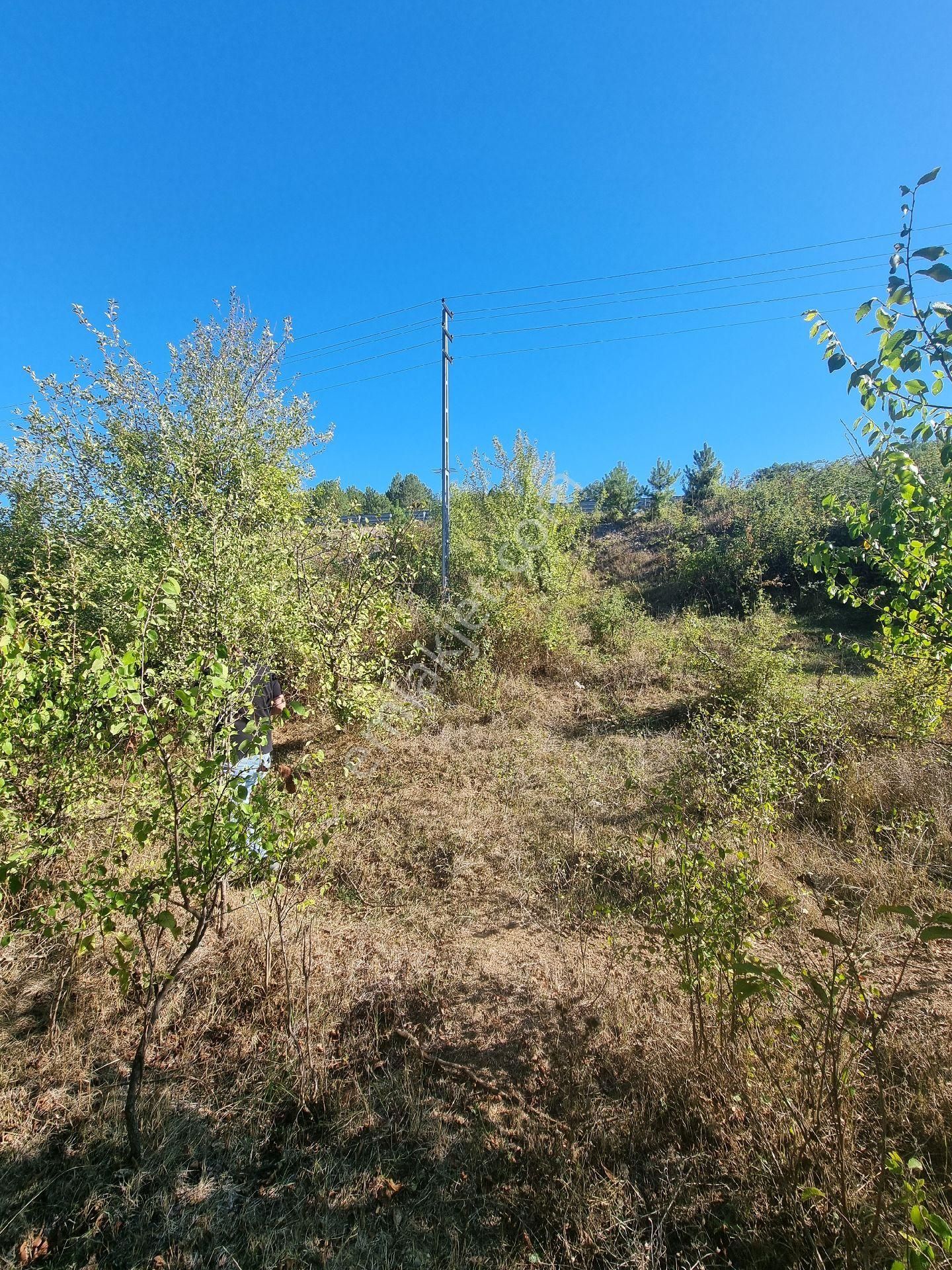 Kastamonu Araç Çıkışında Yol Kenarı 3 Dönüm Bahçe - Görsel 10