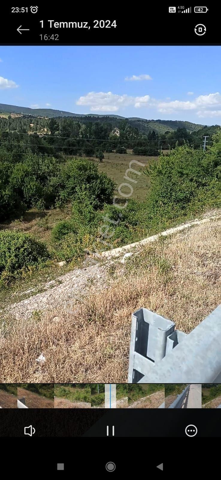 Kastamonu Araç Çıkışında Yol Kenarı 3 Dönüm Bahçe - Görsel 5