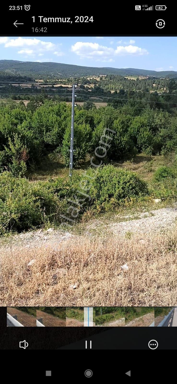 Kastamonu Araç Çıkışında Yol Kenarı 3 Dönüm Bahçe - Görsel 4