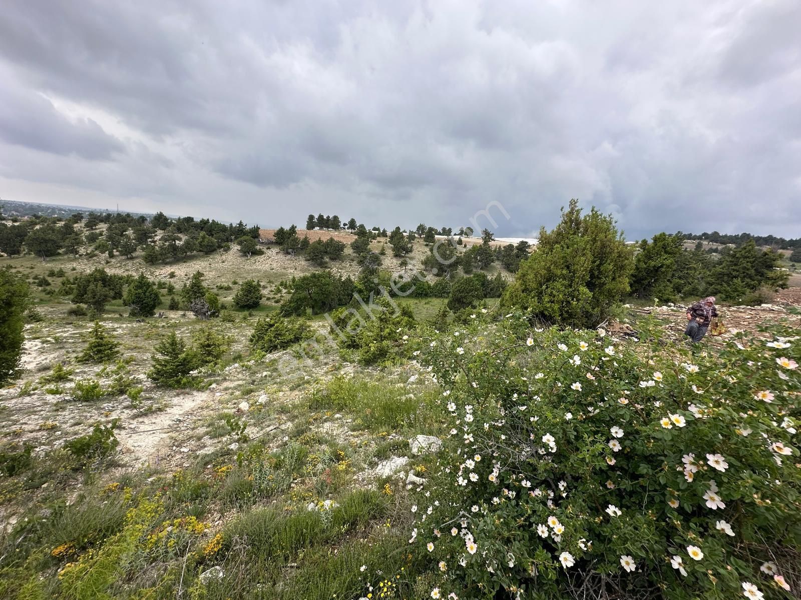 Aydınlar Mah. Yatırıma Uygun 5.510 M2 Tarla - Görsel 30