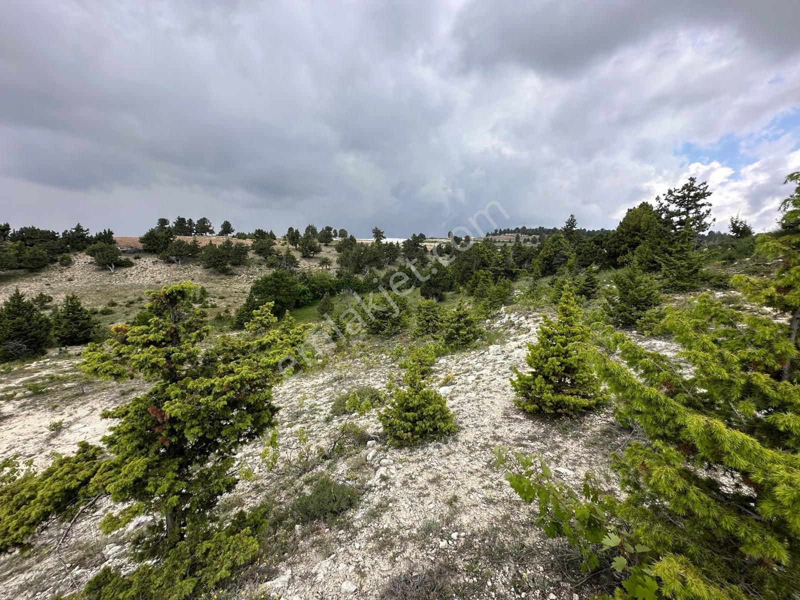 Aydınlar Mah. Yatırıma Uygun 5.510 M2 Tarla - Görsel 17