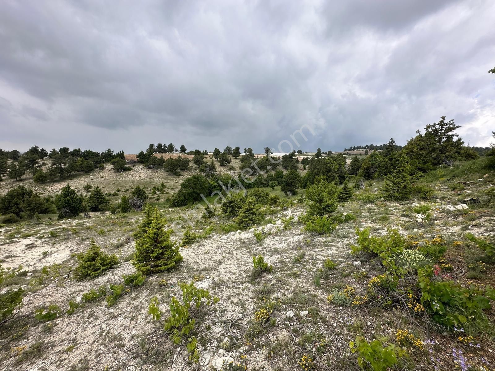 Aydınlar Mah. Yatırıma Uygun 5.510 M2 Tarla - Görsel 16