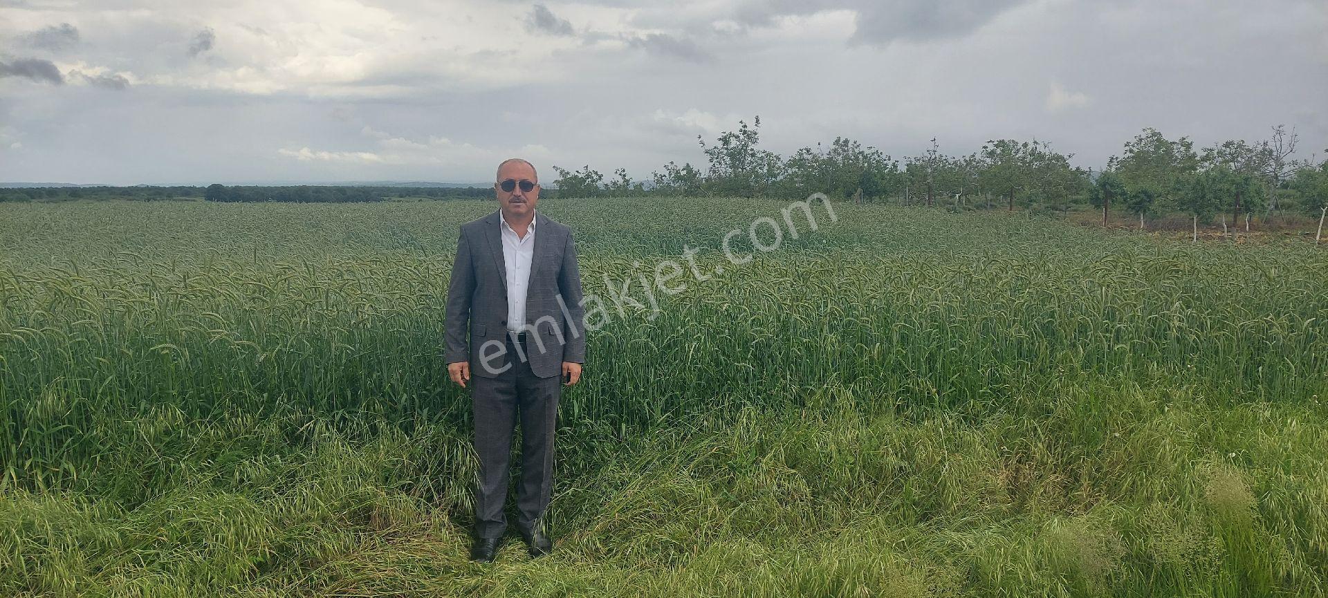 Kân Arsa Ofisinden Şehre Yakın Yatırımlık Meriç Karayusuflu Da Asfalta Ve Meraya Cephe Tarla - Görsel 9