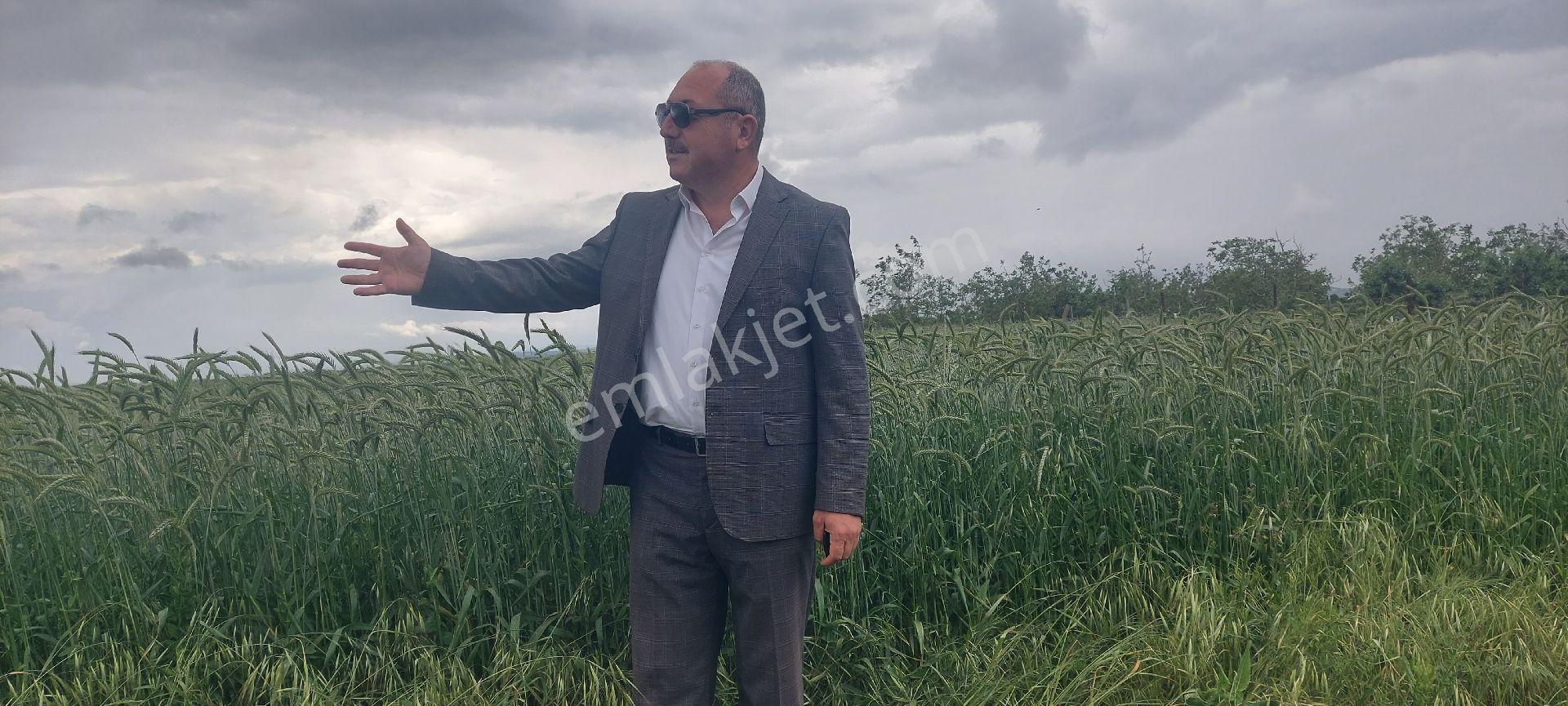 Kân Arsa Ofisinden Şehre Yakın Yatırımlık Meriç Karayusuflu Da Asfalta Ve Meraya Cephe Tarla - Görsel 14