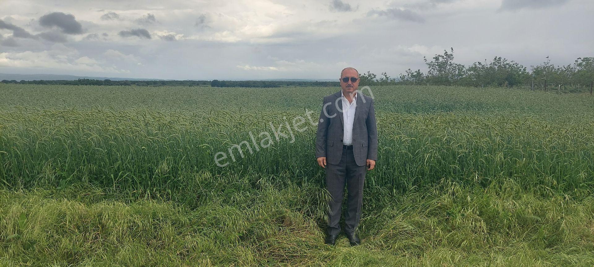 Kân Arsa Ofisinden Şehre Yakın Yatırımlık Meriç Karayusuflu Da Asfalta Ve Meraya Cephe Tarla - Görsel 6
