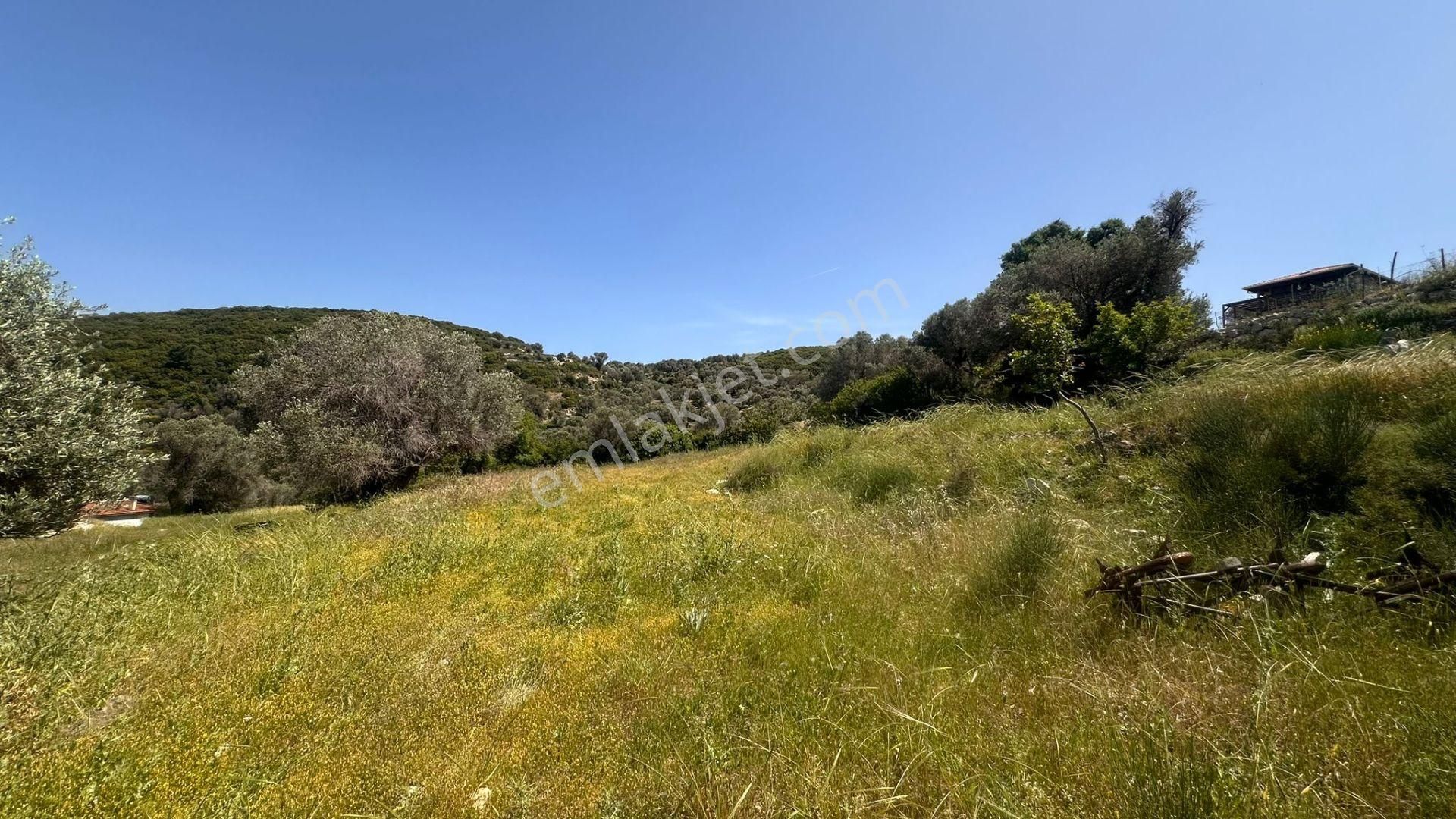 Karaburun Eğlenhoca Mahallesi'nde Deniz Manzaralı 5070 M² Tarla - Görsel 26