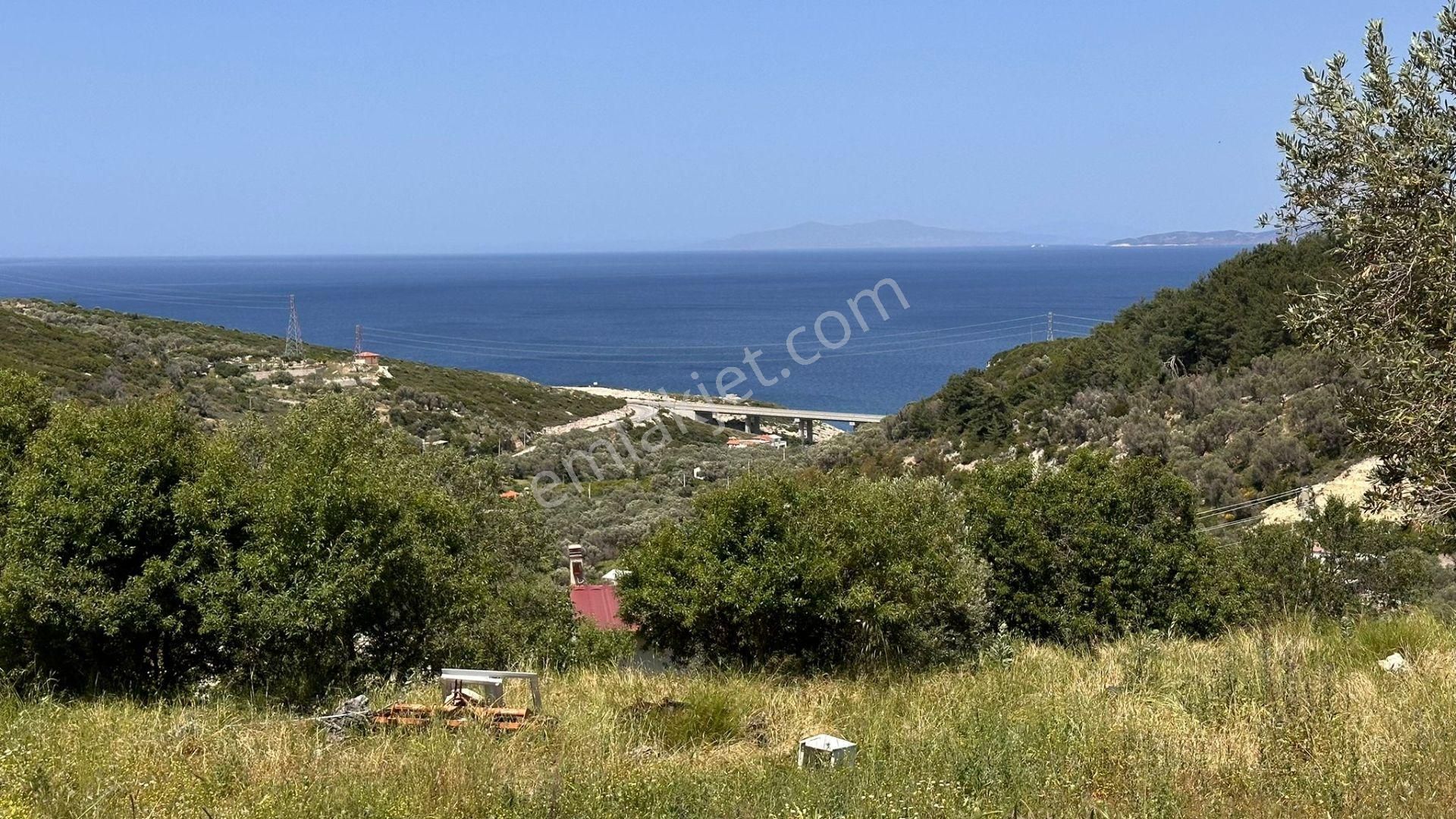 Karaburun Eğlenhoca Mahallesi'nde Deniz Manzaralı 5070 M² Tarla - Görsel 22