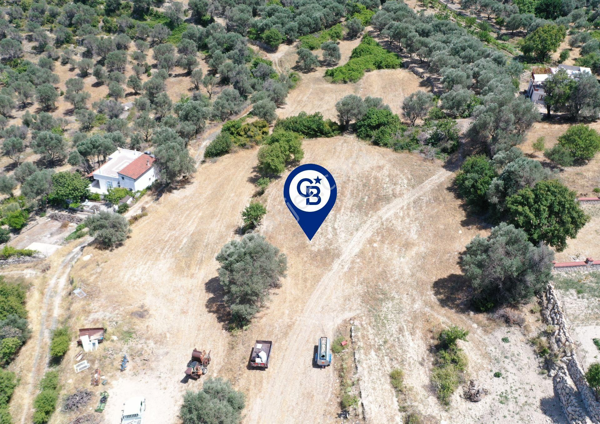 Karaburun Eğlenhoca Mahallesi'nde Deniz Manzaralı 5070 M² Tarla - Görsel 12