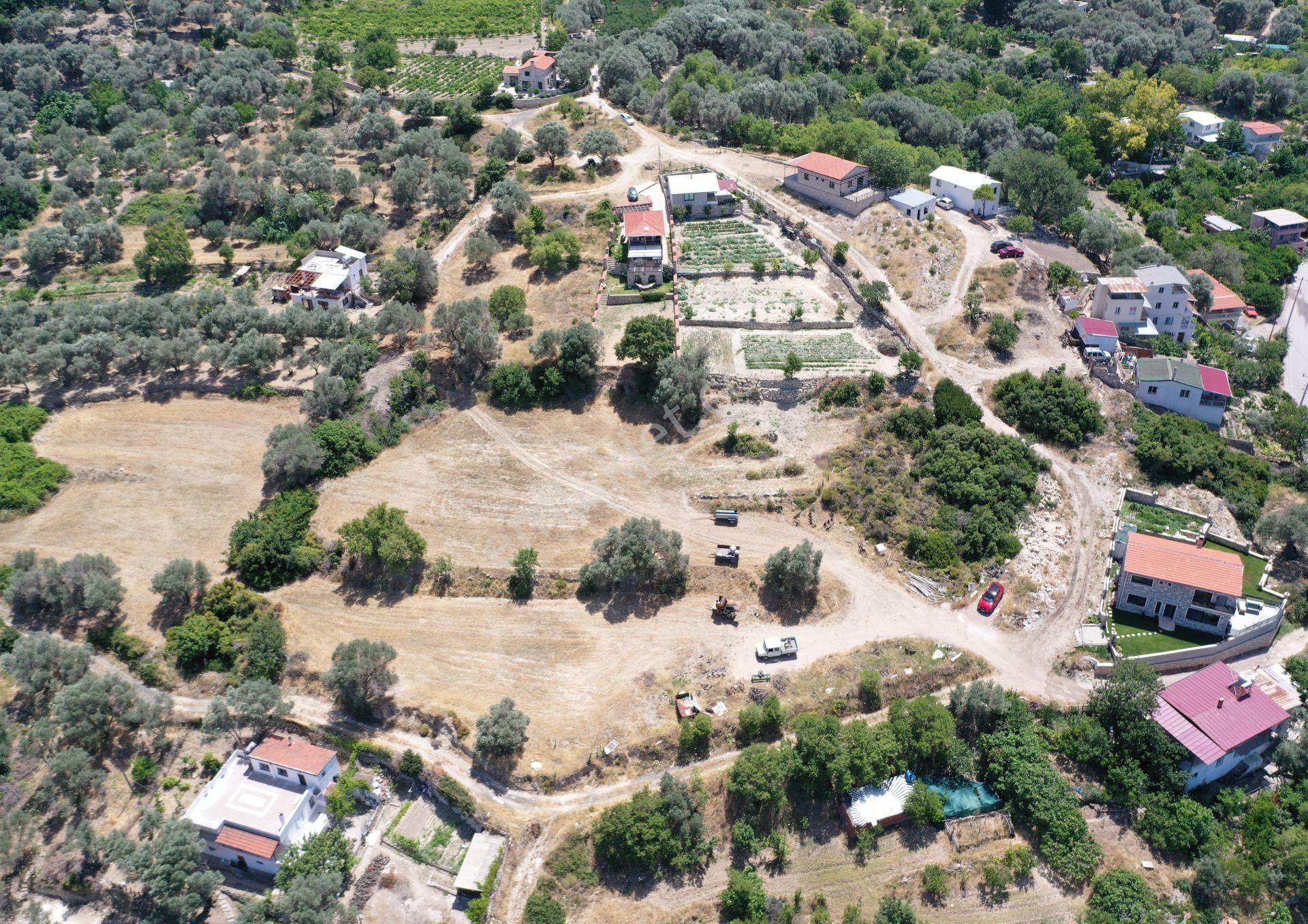 Karaburun Eğlenhoca Mahallesi'nde Deniz Manzaralı 5070 M² Tarla - Görsel 18