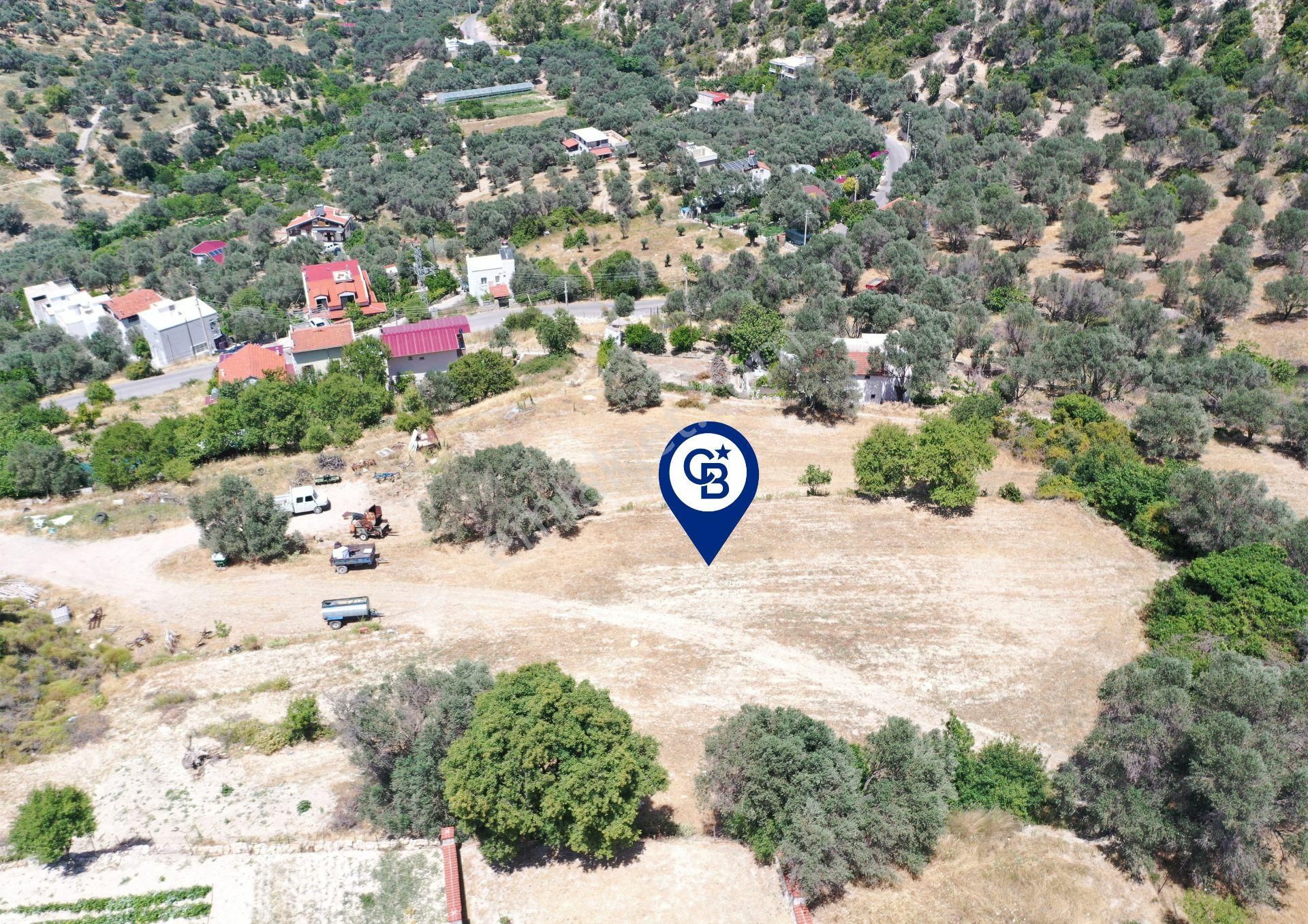 Karaburun Eğlenhoca Mahallesi'nde Deniz Manzaralı 5070 M² Tarla - Görsel 14