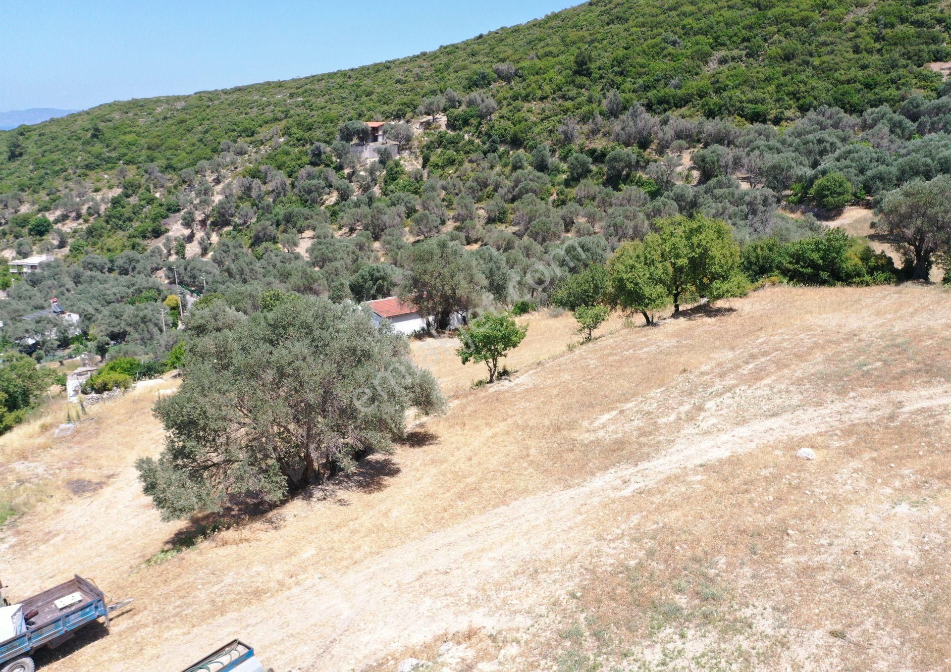 Karaburun Eğlenhoca Mahallesi'nde Deniz Manzaralı 5070 M² Tarla - Görsel 11