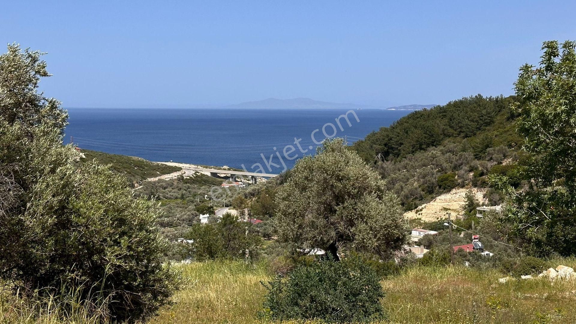 Karaburun Eğlenhoca Mahallesi'nde Deniz Manzaralı 5070 M² Tarla - Görsel 23