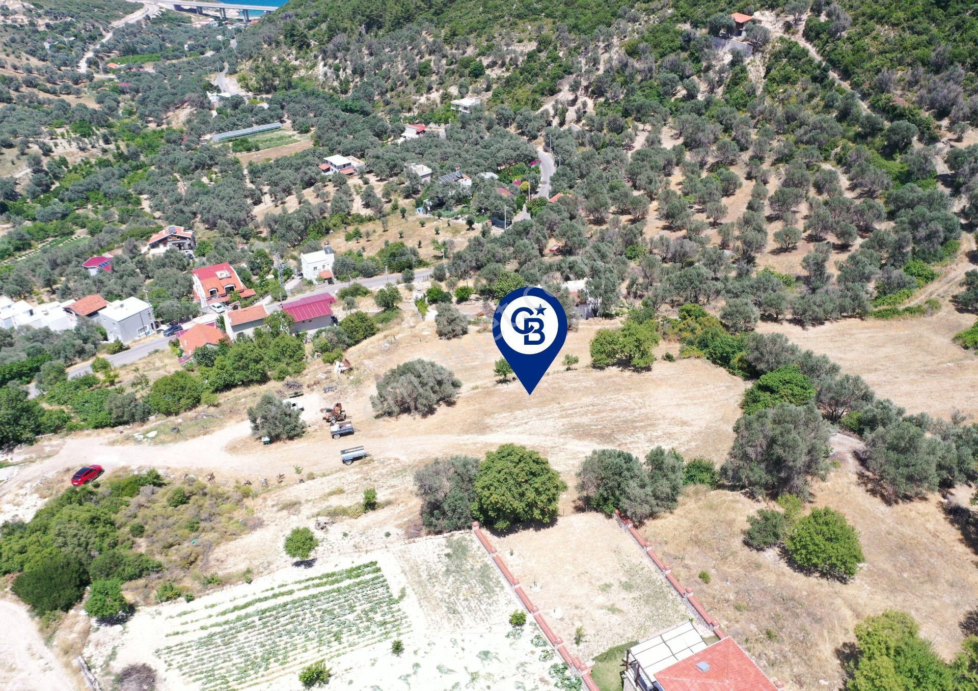 Karaburun Eğlenhoca Mahallesi'nde Deniz Manzaralı 5070 M² Tarla - Görsel 20