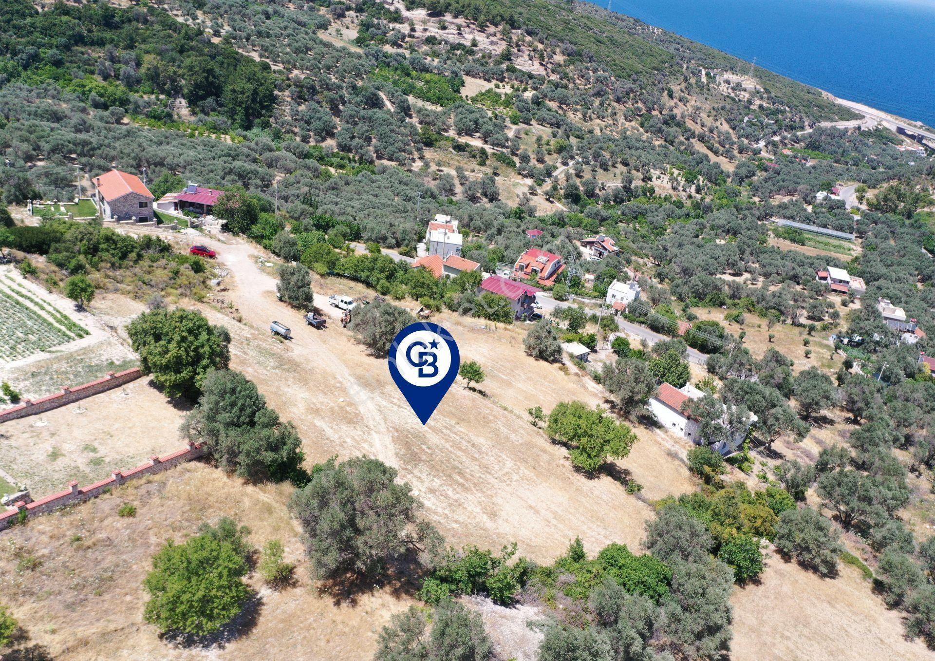 Karaburun Eğlenhoca Mahallesi'nde Deniz Manzaralı 5070 M² Tarla - Görsel 15