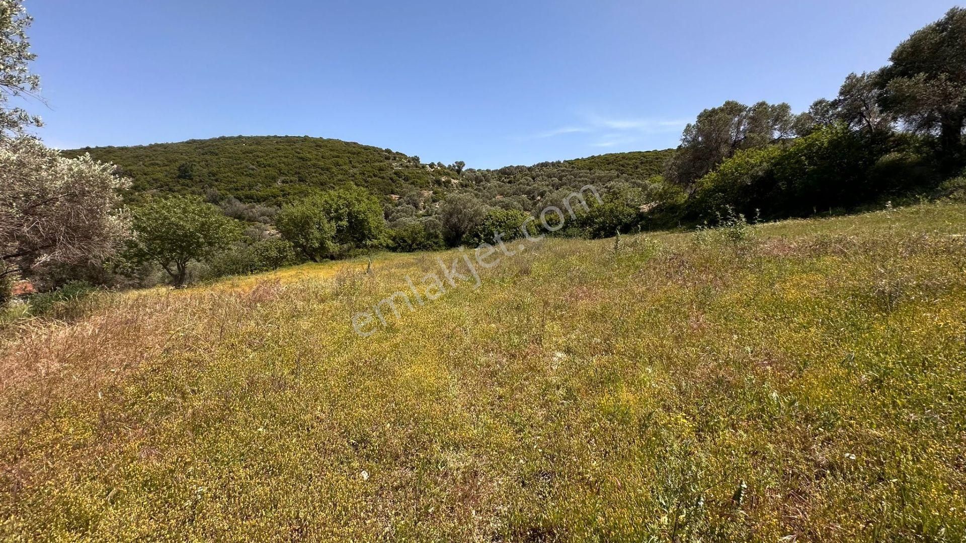 Karaburun Eğlenhoca Mahallesi'nde Deniz Manzaralı 5070 M² Tarla - Görsel 25