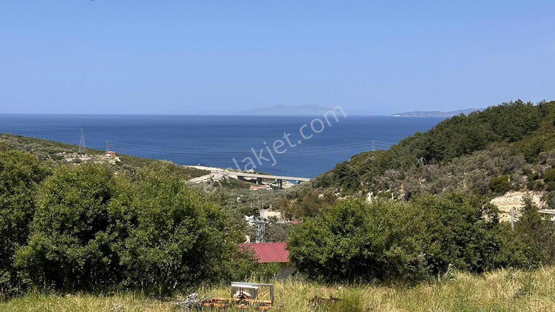 Karaburun Eğlenhoca Mahallesi'nde Deniz Manzaralı 5070 M² Tarla - Görsel 21