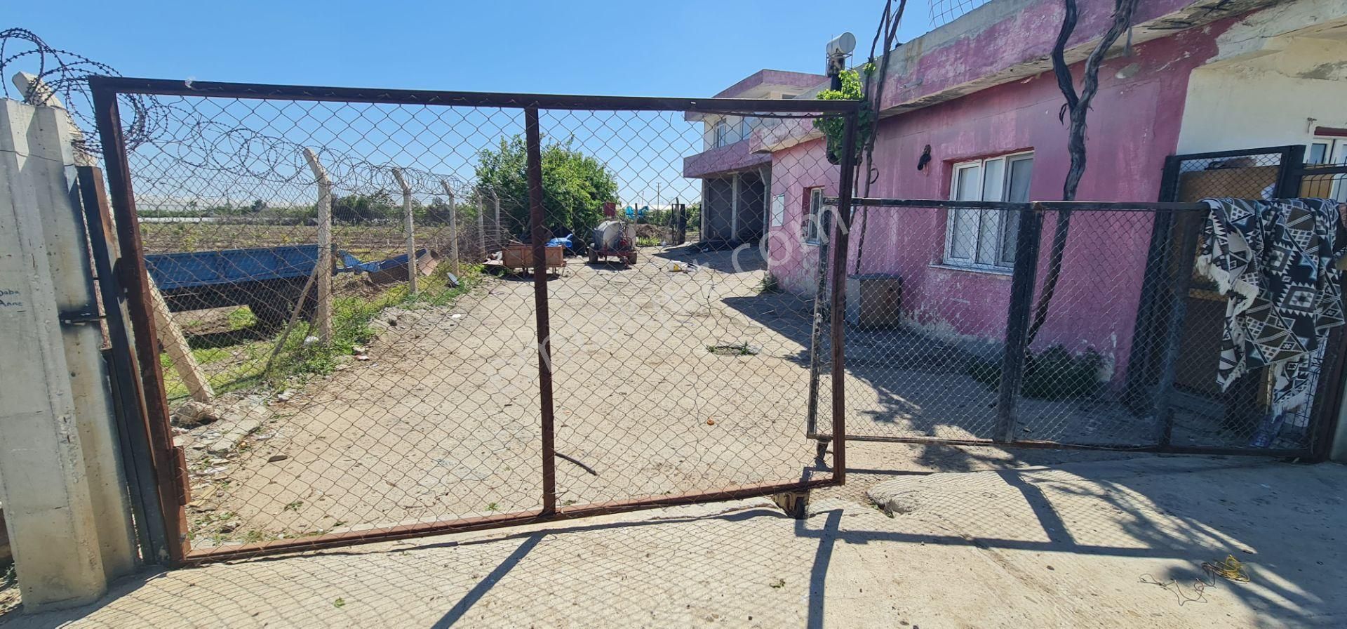 Yeni Havaalanına Çok Yakın Yatırımlık Narenciye Bahçesi - Görsel 23