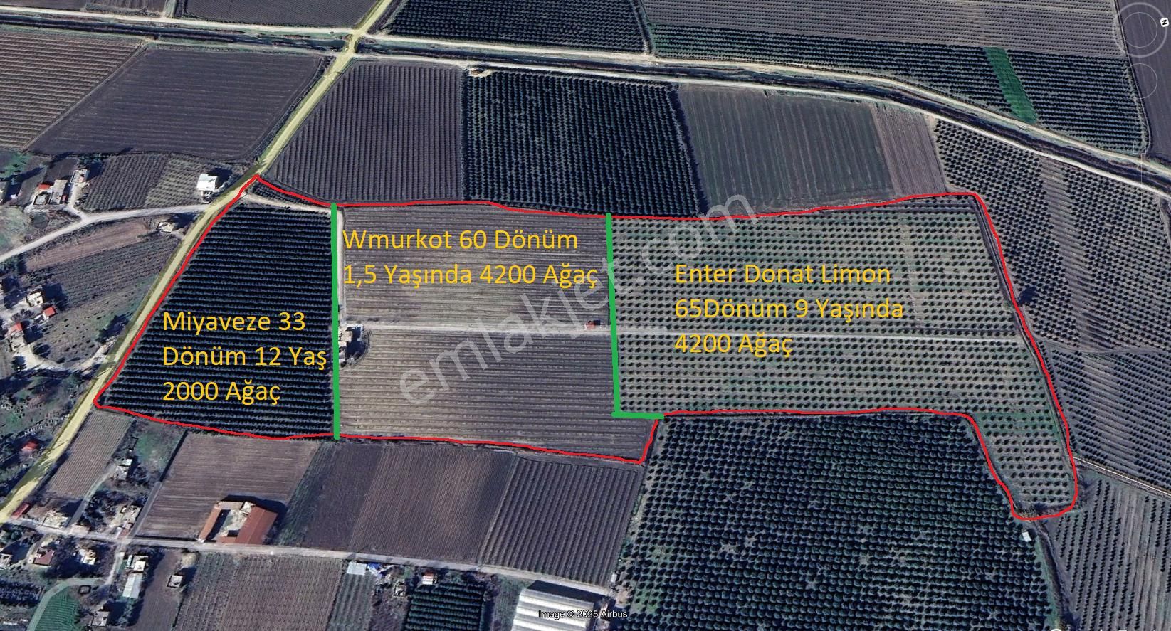 Yeni Havaalanına Çok Yakın Yatırımlık Narenciye Bahçesi - Görsel 16