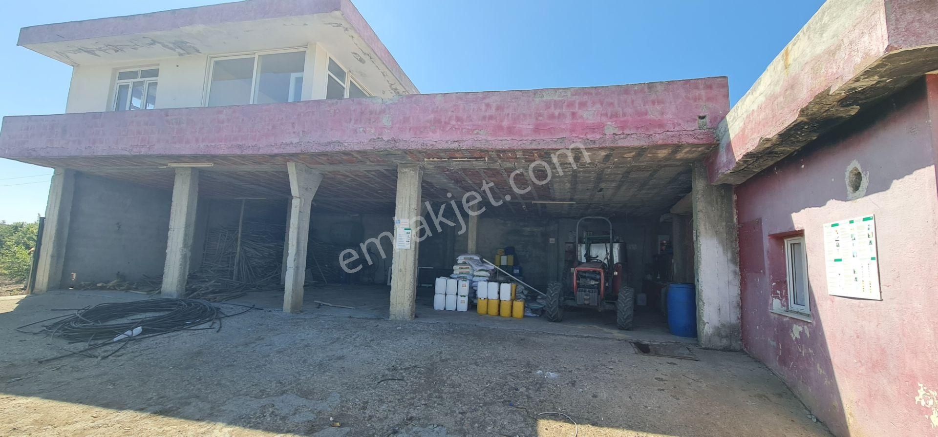 Yeni Havaalanına Çok Yakın Yatırımlık Narenciye Bahçesi - Görsel 24