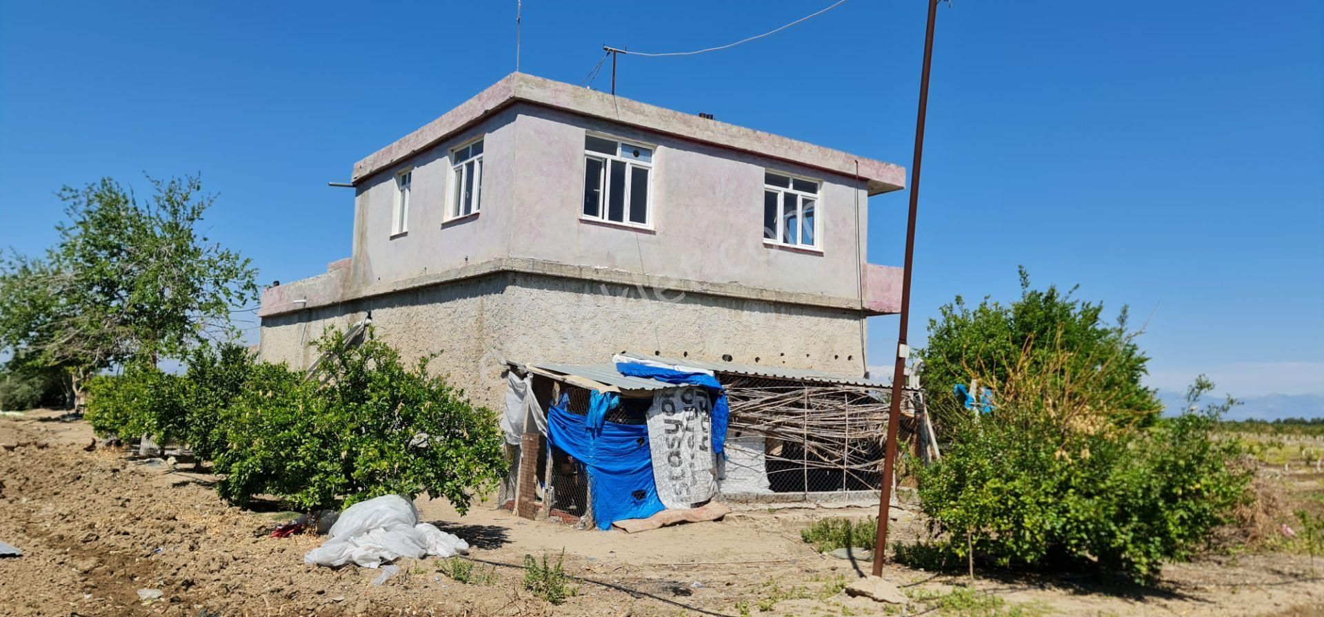 Yeni Havaalanına Çok Yakın Yatırımlık Narenciye Bahçesi - Görsel 25