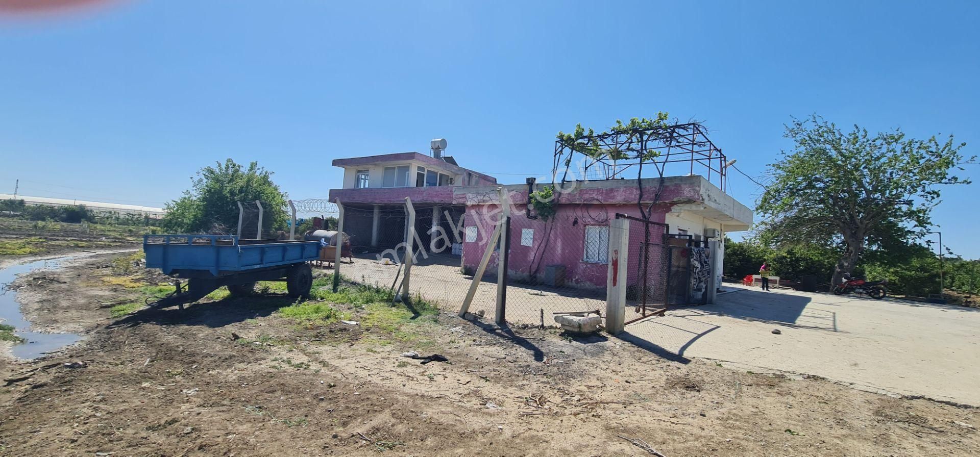 Yeni Havaalanına Çok Yakın Yatırımlık Narenciye Bahçesi - Görsel 22