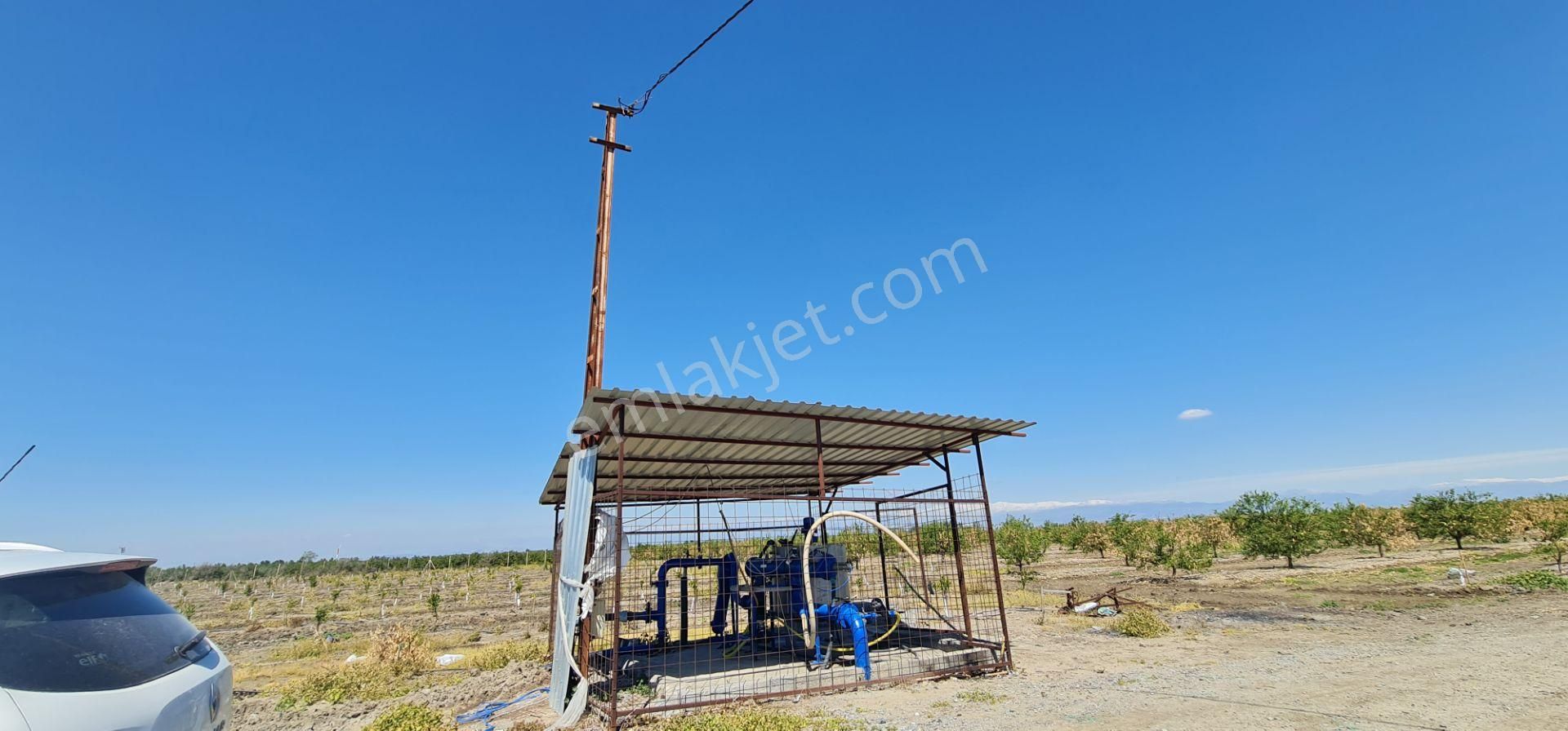 Yeni Havaalanına Çok Yakın Yatırımlık Narenciye Bahçesi - Görsel 20