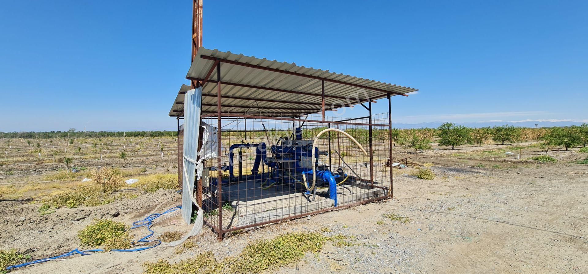 Yeni Havaalanına Çok Yakın Yatırımlık Narenciye Bahçesi - Görsel 19