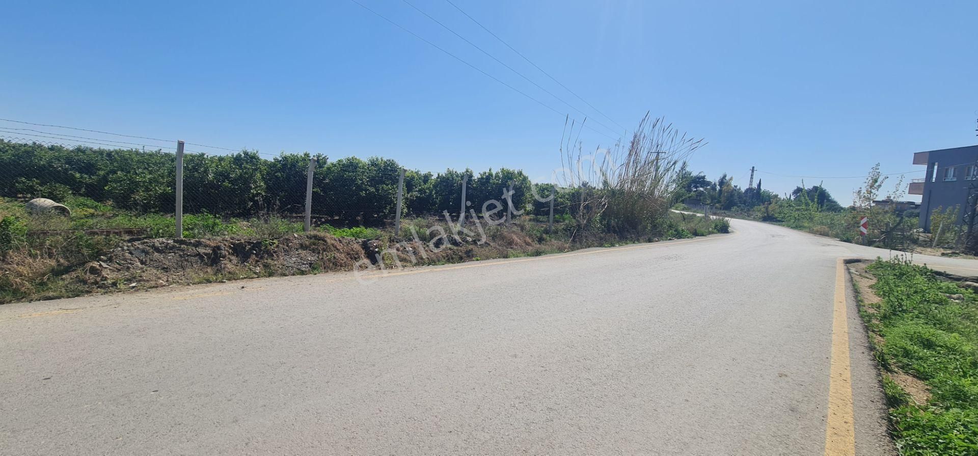 Yeni Havaalanına Çok Yakın Yatırımlık Narenciye Bahçesi - Görsel 27