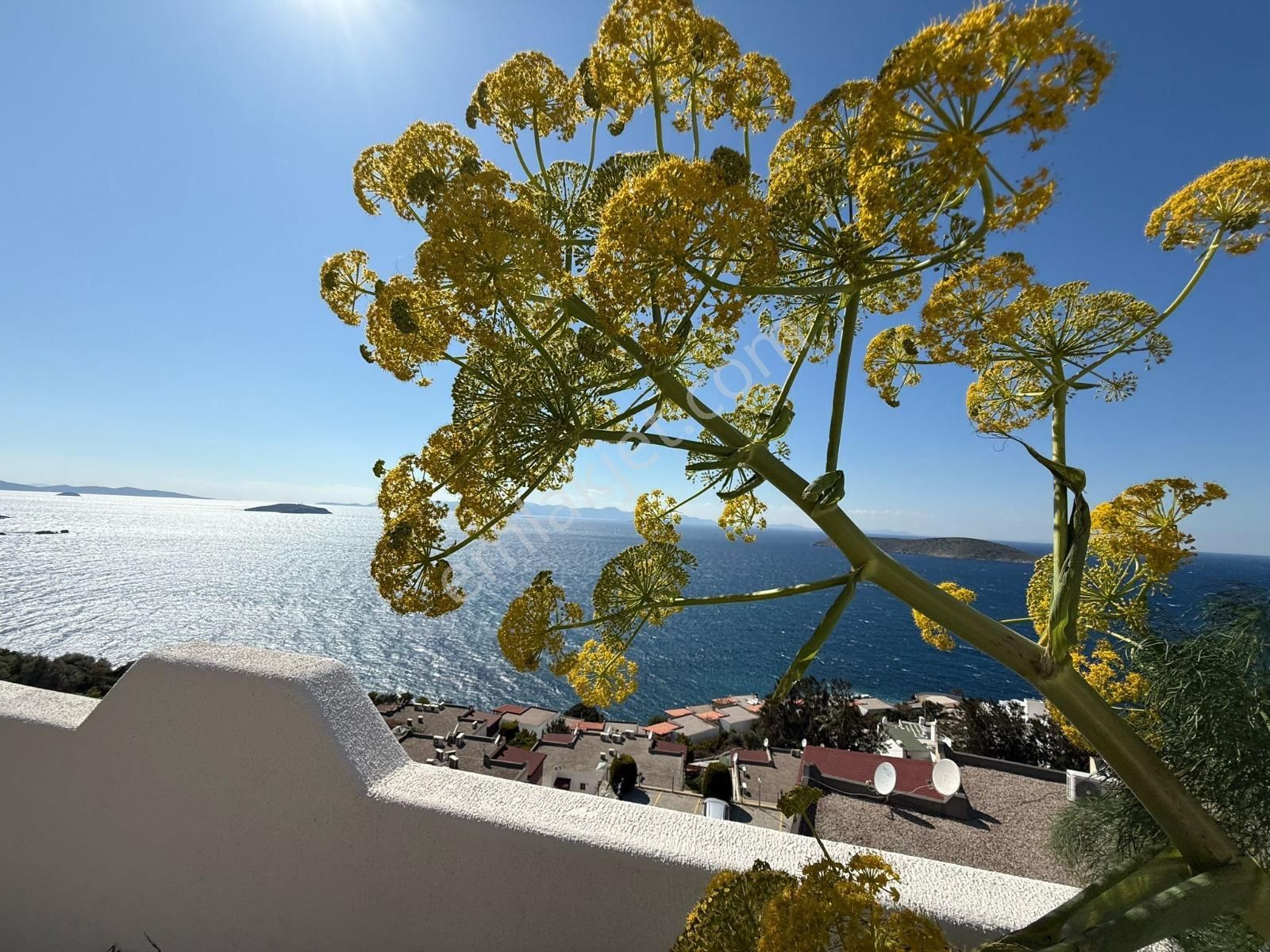 Bodrum Satılık 7 Ada Manzaralı Müstakil Ev İngilizden Krediye Uygun Gün Batımı Manzaralı Villa - Görsel 9