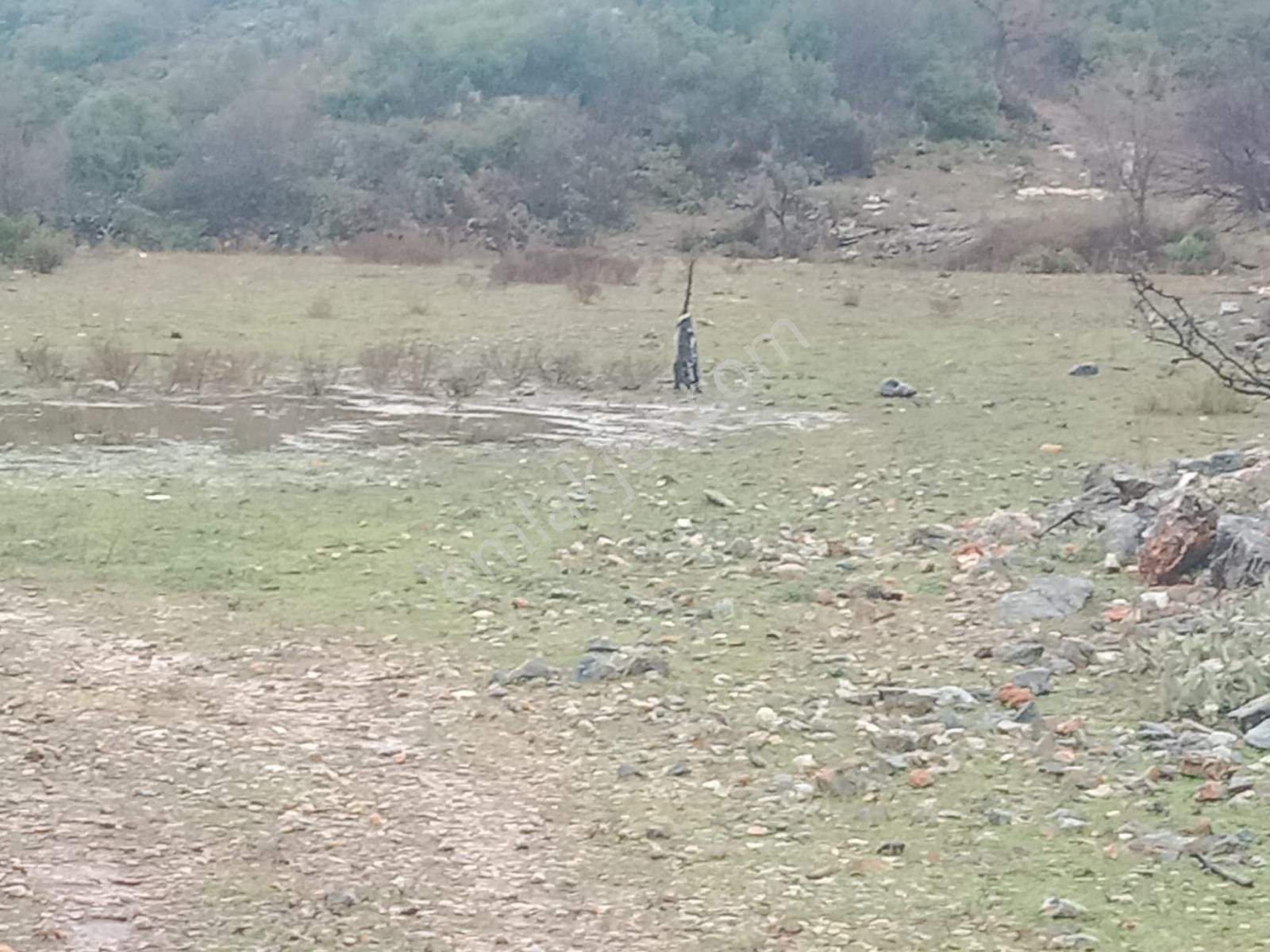 Alanya Güzelbağ Fatih Mah.üççam Mevkii Satılık 25.500 M2 Tarla - Görsel 5
