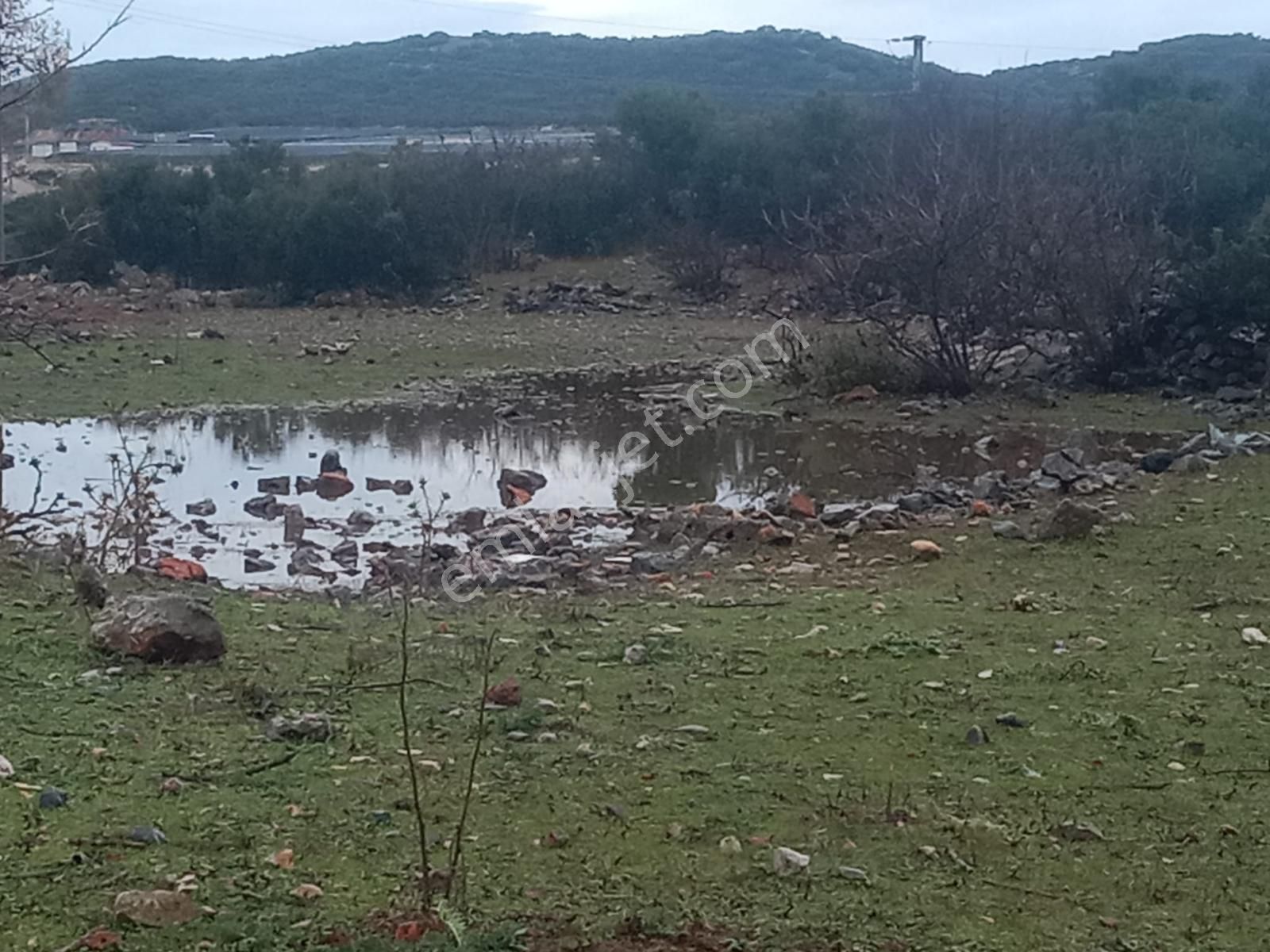 Alanya Güzelbağ Fatih Mah.üççam Mevkii Satılık 25.500 M2 Tarla - Görsel 9