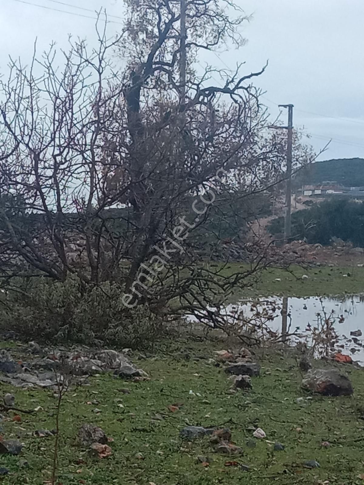 Alanya Güzelbağ Fatih Mah.üççam Mevkii Satılık 25.500 M2 Tarla - Görsel 10