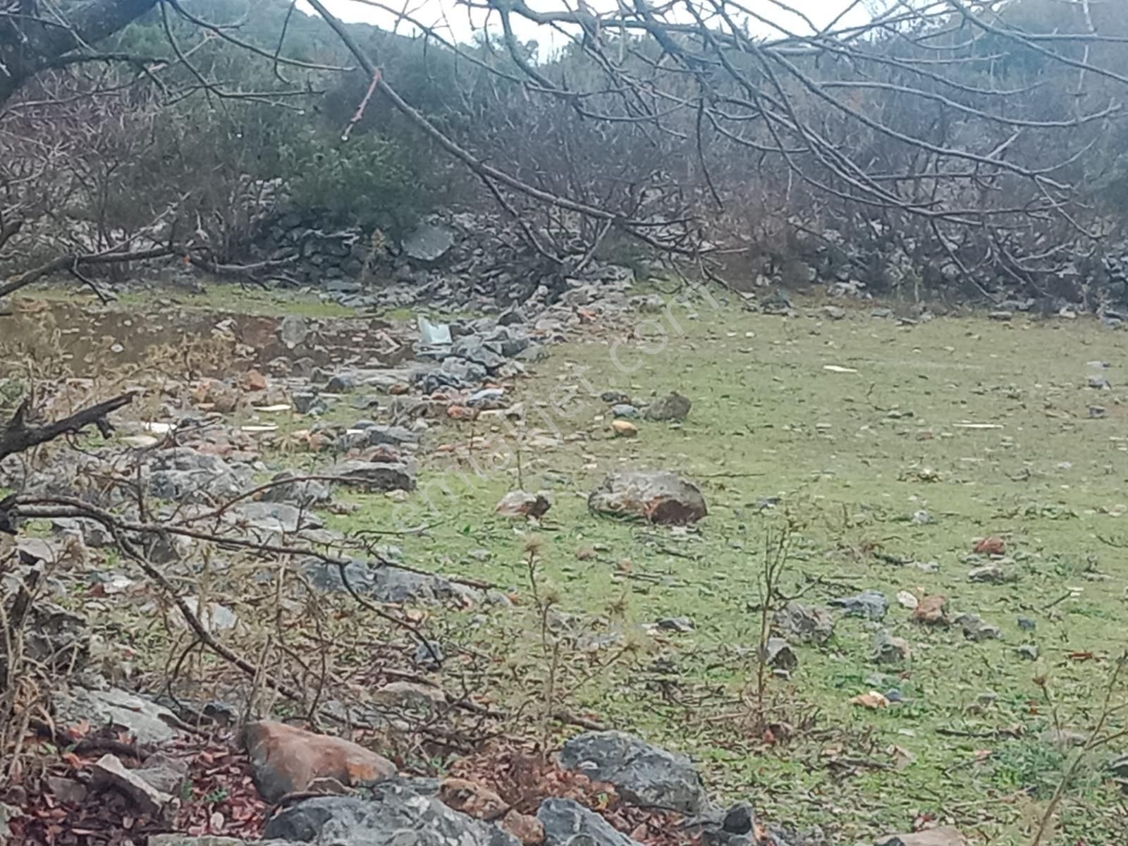 Alanya Güzelbağ Fatih Mah.üççam Mevkii Satılık 25.500 M2 Tarla - Görsel 8