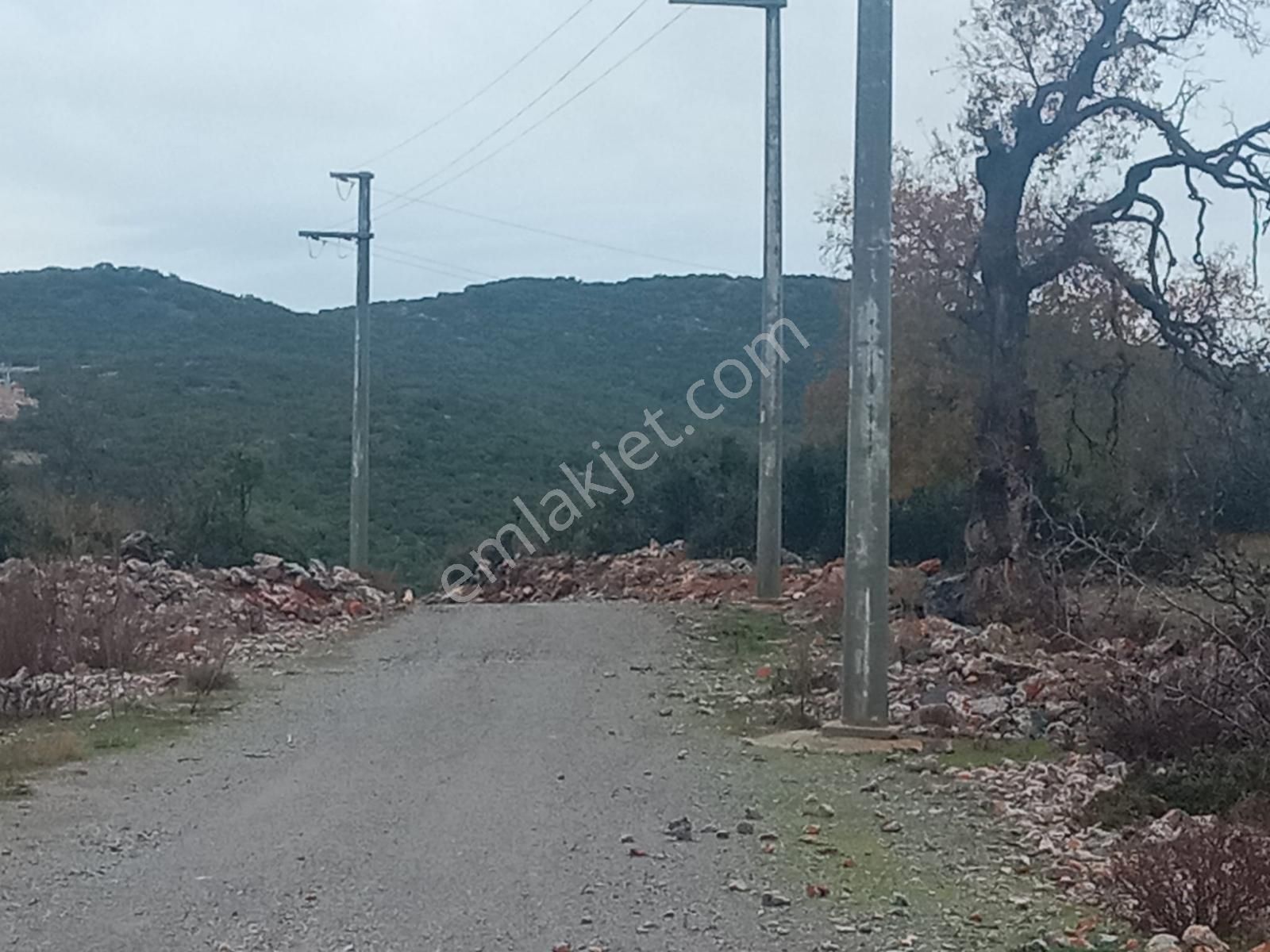 Alanya Güzelbağ Fatih Mah.üççam Mevkii Satılık 25.500 M2 Tarla - Görsel 4