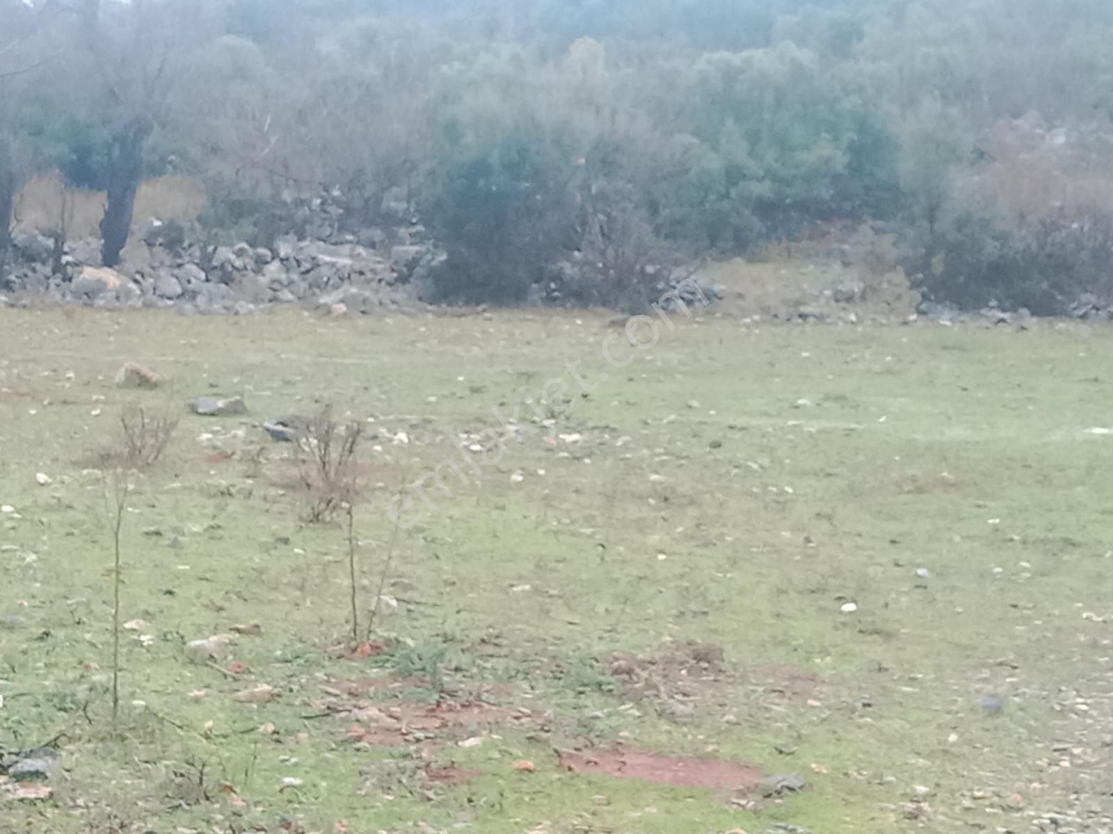 Alanya Güzelbağ Fatih Mah.üççam Mevkii Satılık 25.500 M2 Tarla - Görsel 7
