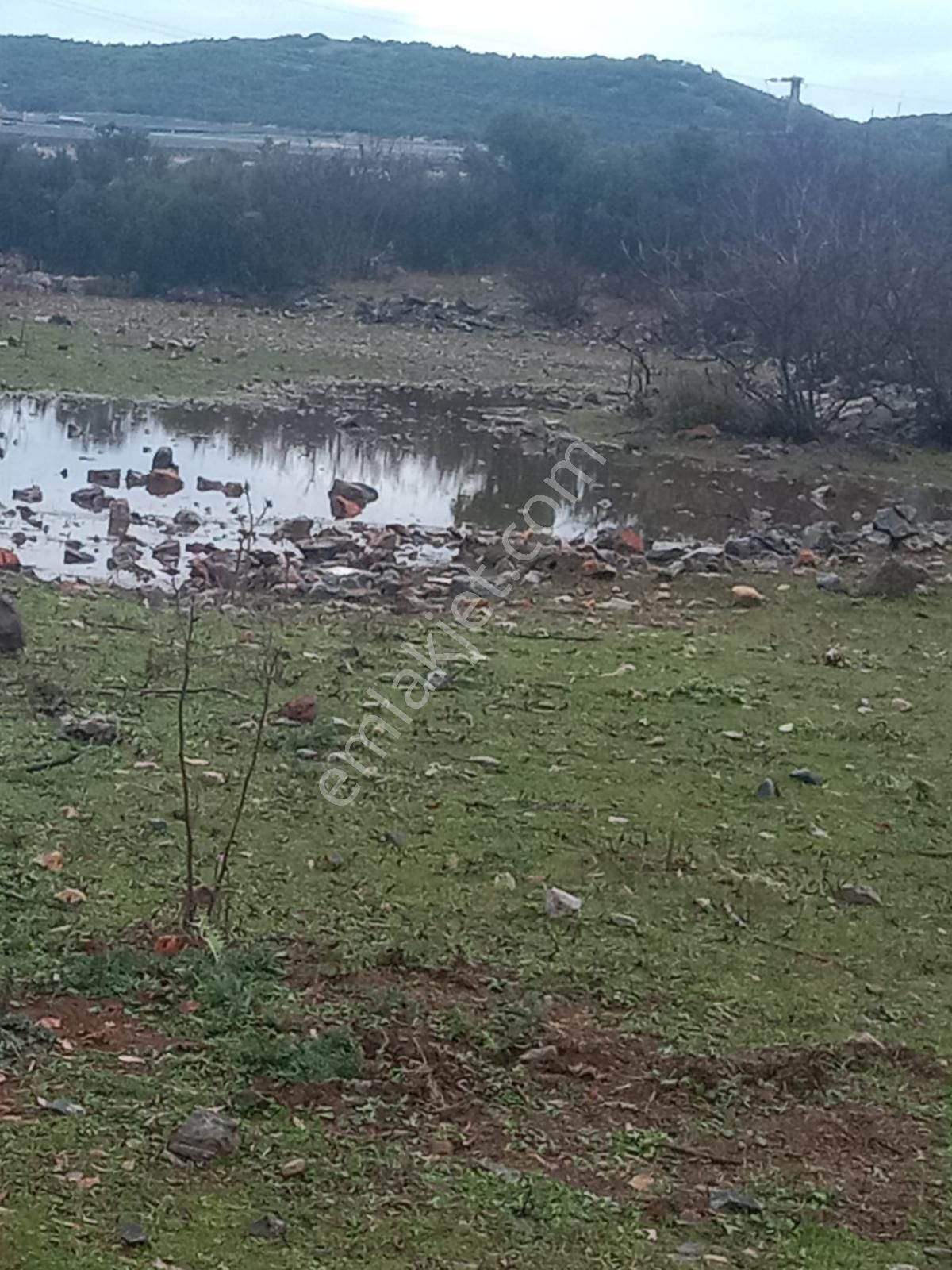 Alanya Güzelbağ Fatih Mah.üççam Mevkii Satılık 25.500 M2 Tarla - Görsel 11