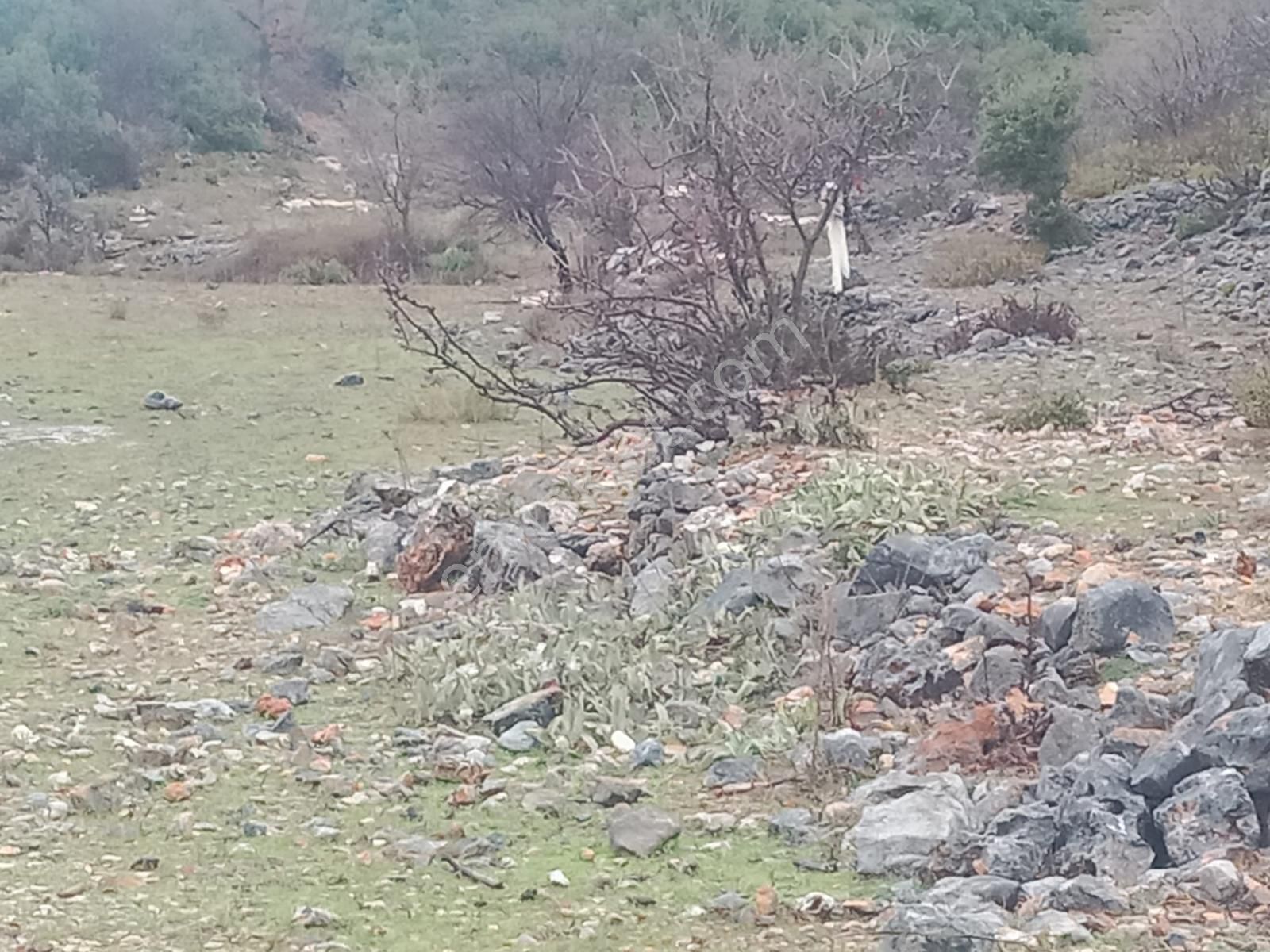 Alanya Güzelbağ Fatih Mah.üççam Mevkii Satılık 25.500 M2 Tarla - Görsel 6