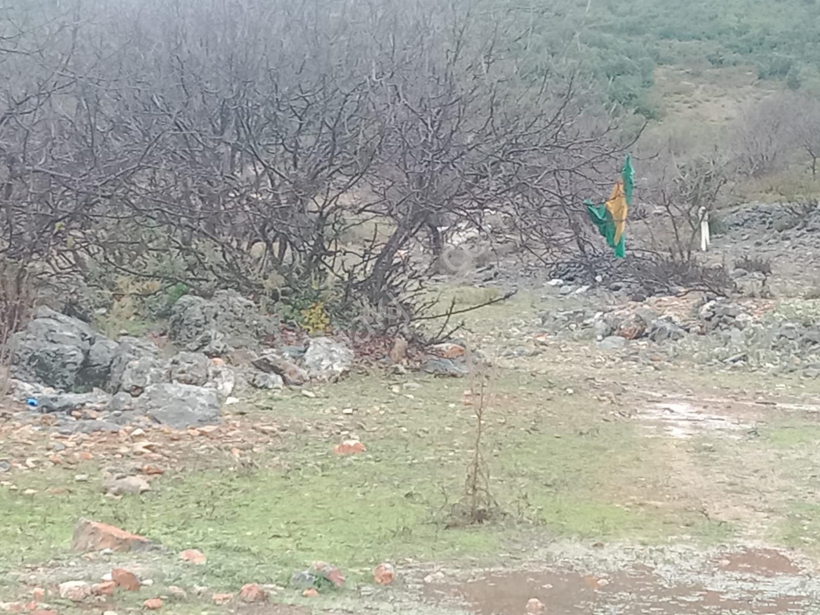 Alanya Güzelbağ Fatih Mah.üççam Mevkii Satılık 25.500 M2 Tarla - Görsel 3