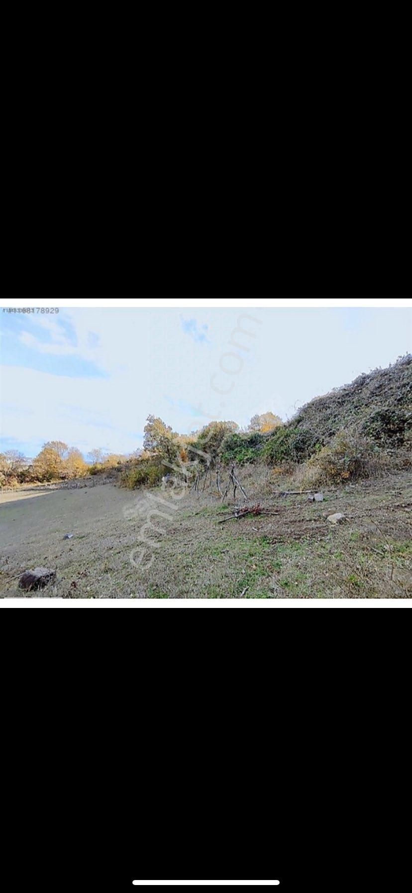 1032 Metre Karesi Satılık - Görsel 7